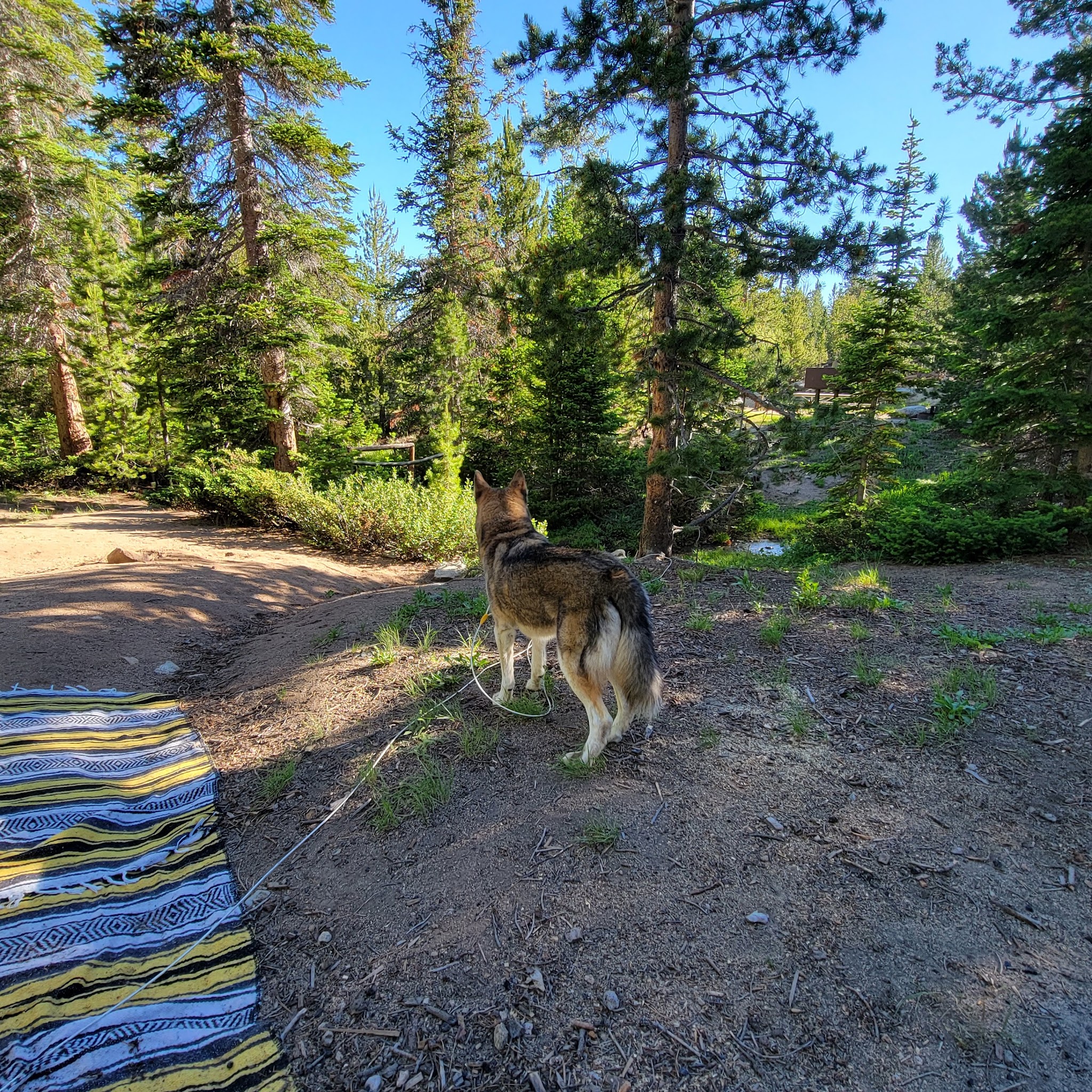Louis Lake Campground