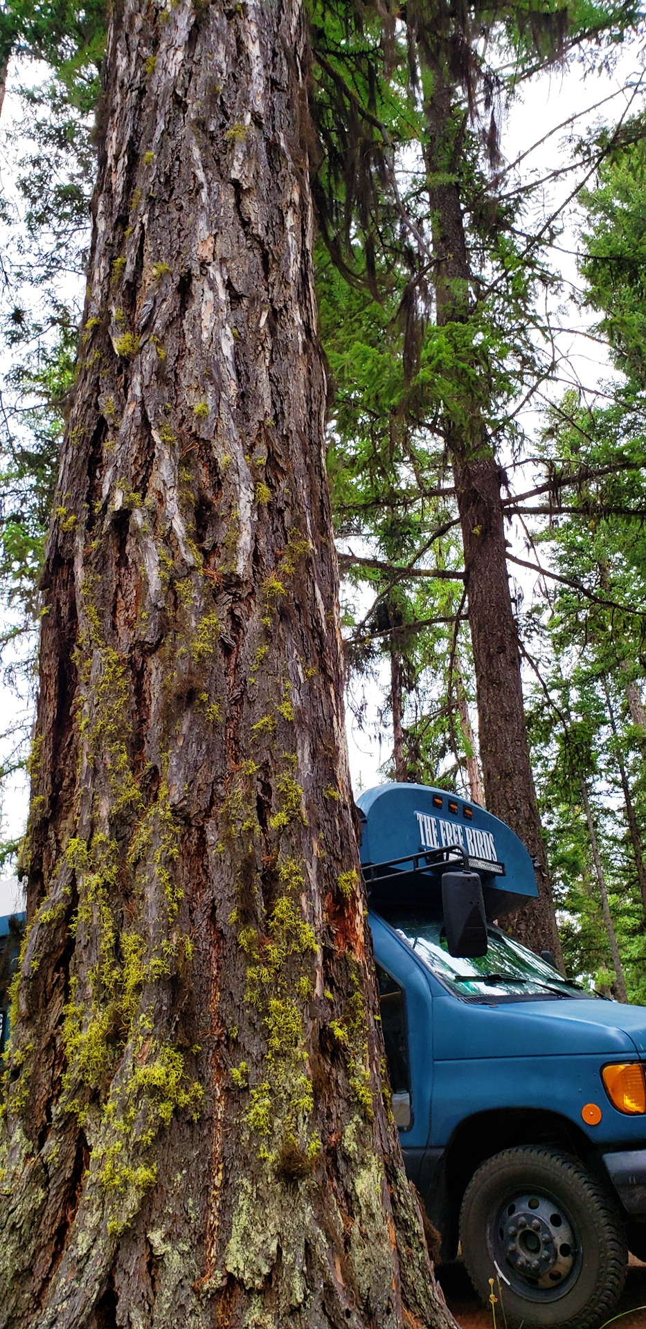 Loup Loup Campground