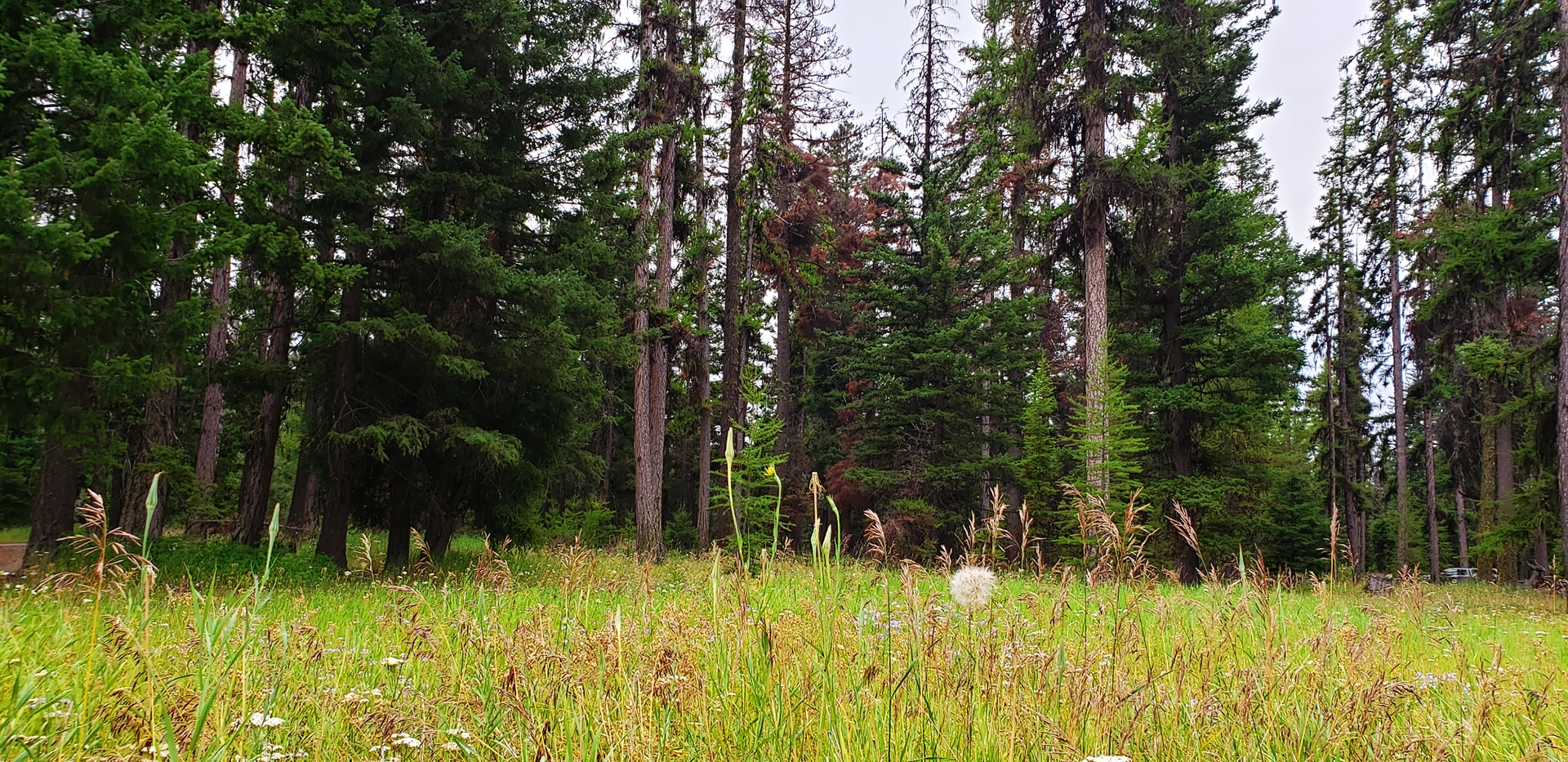 Loup Loup Campground