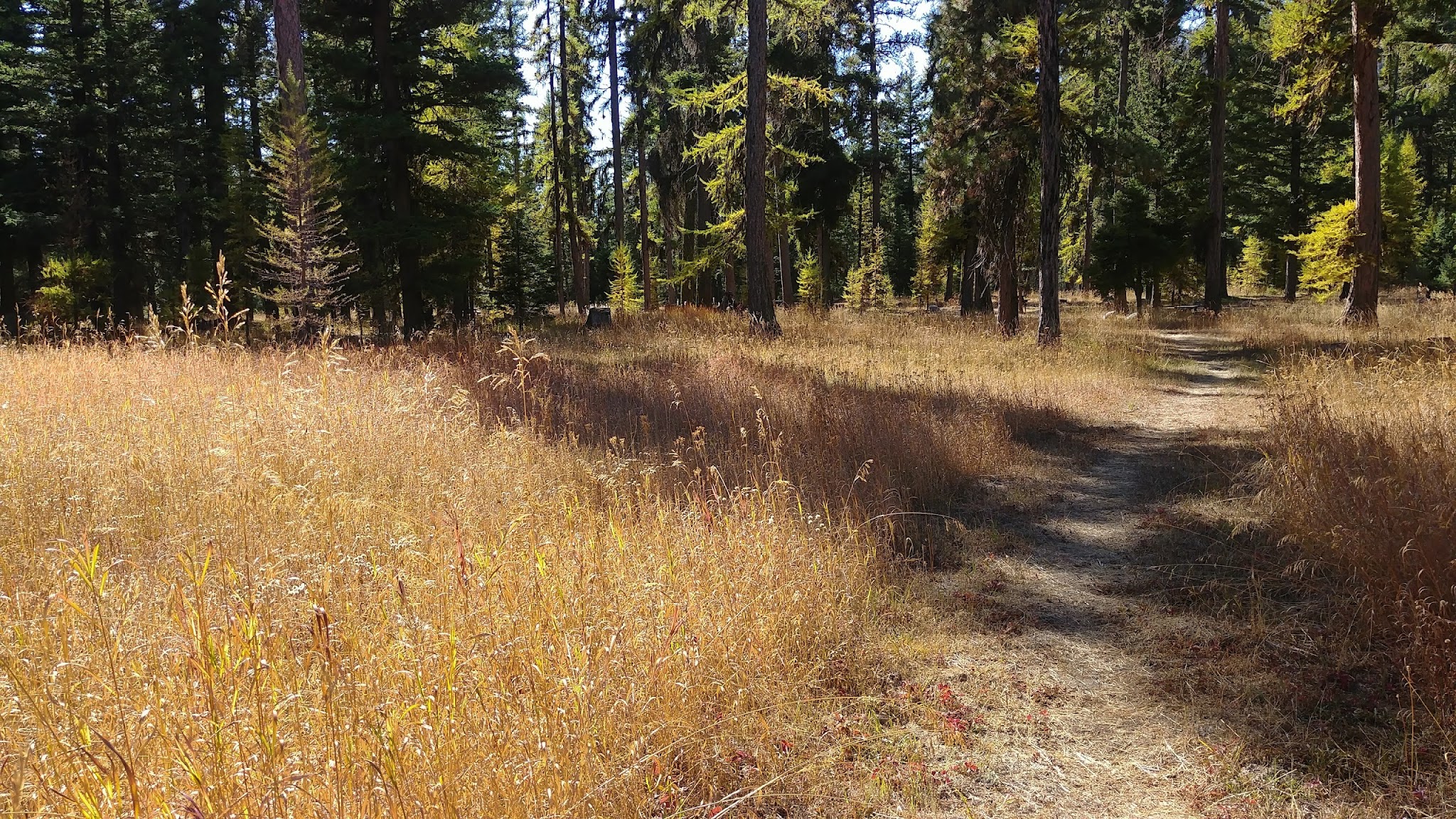 Loup Loup Campground