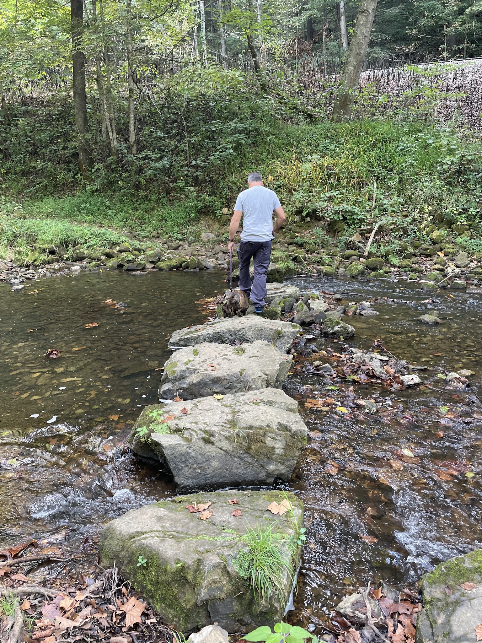 Lovers Leap Campground