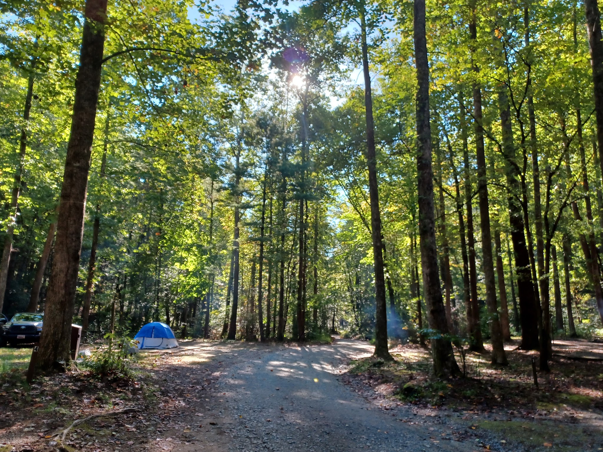 Low Gap Campground