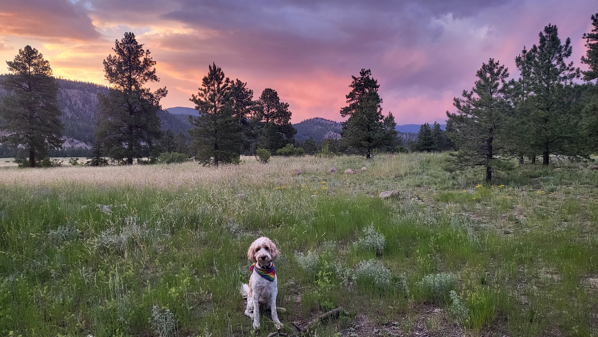 Lower Beaver Creek Campground