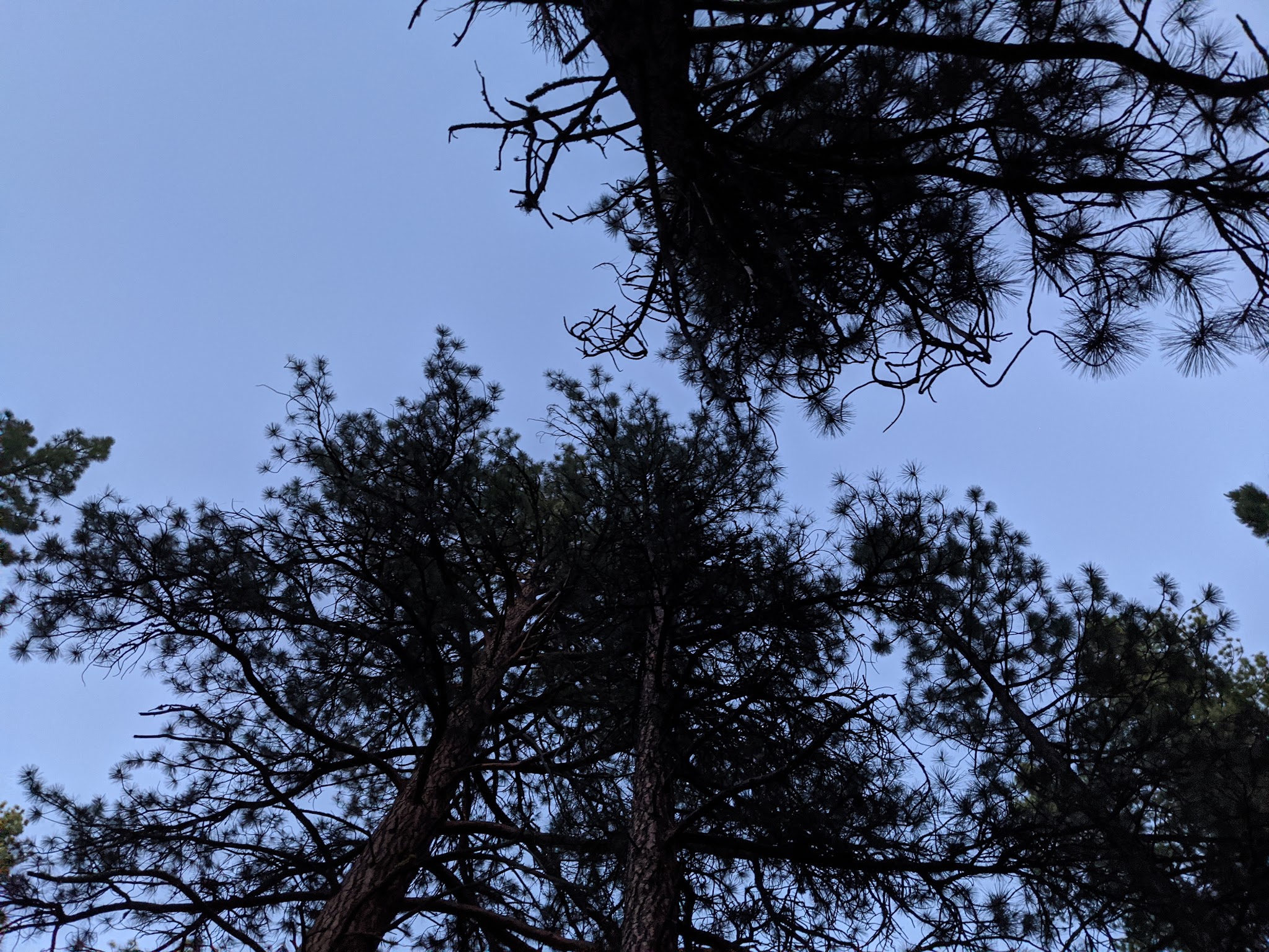 Lower Buck Creek Campground