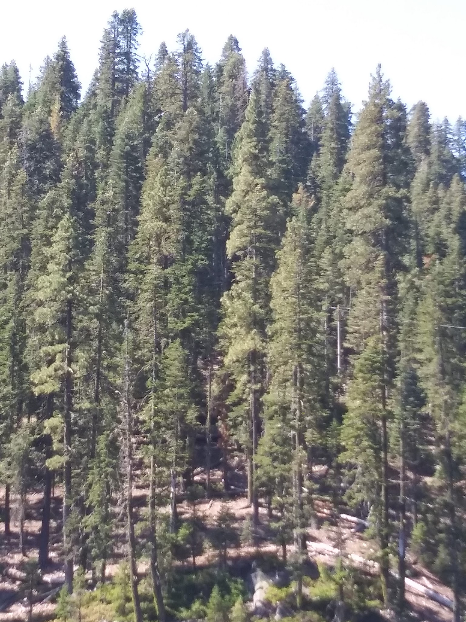 Lower Bucks Campground