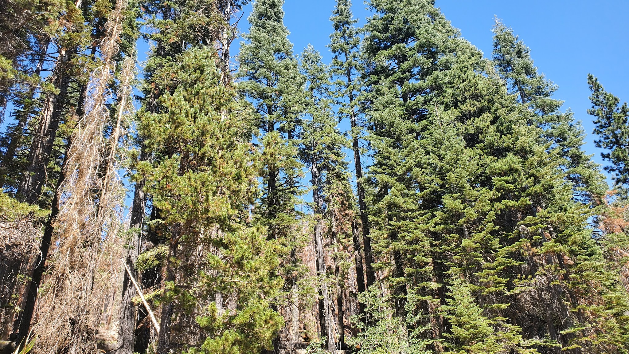 Lower Bucks Campground