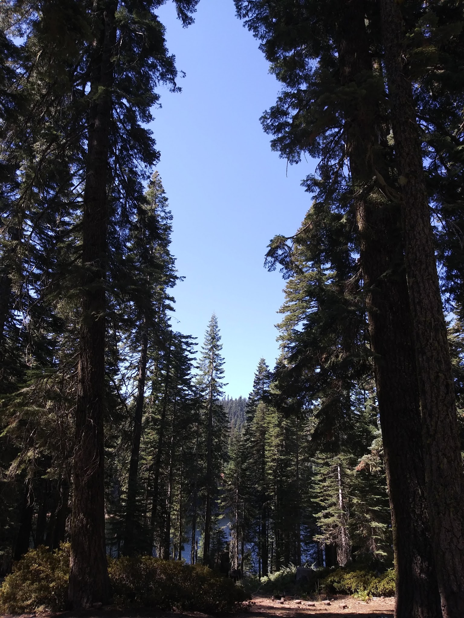 Lower Bucks Campground