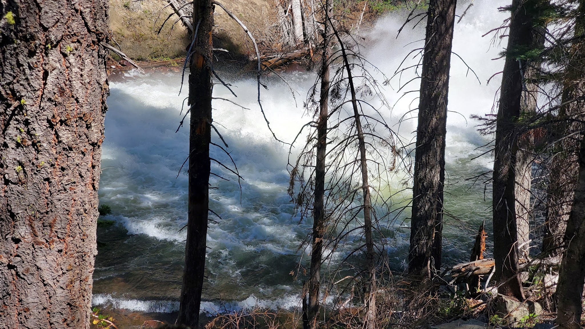 Lower Bucks Campground