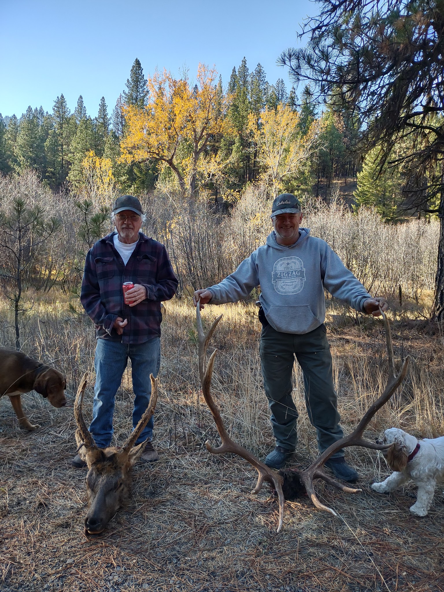 Lower Camp Creek Campground