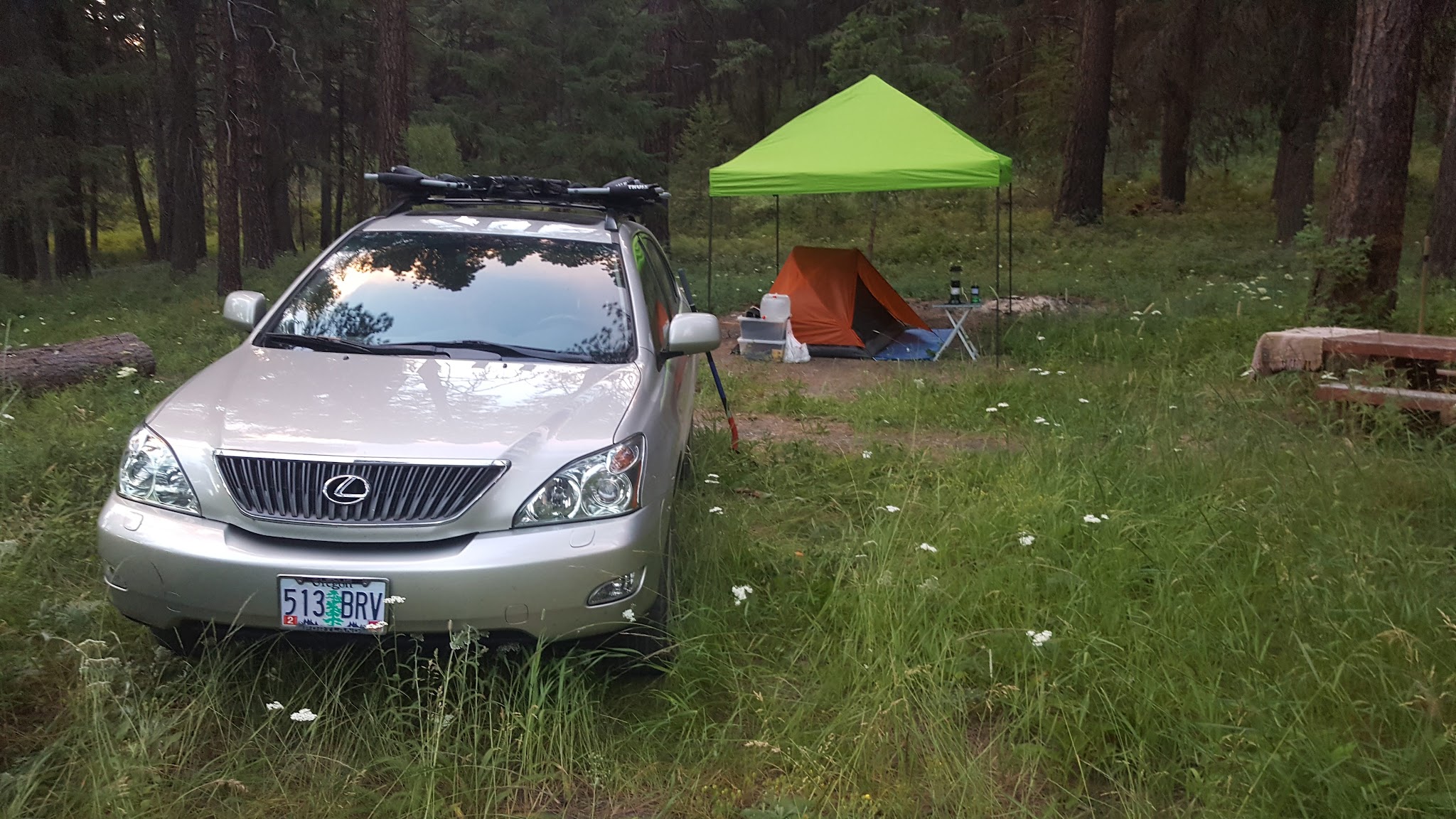 Lower Camp Creek Campground