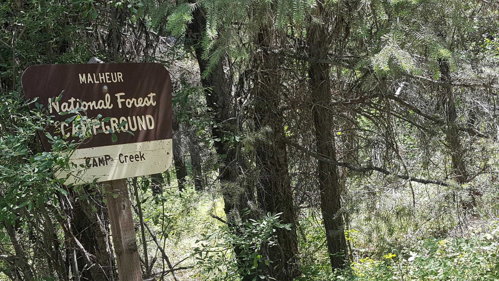 Lower Camp Creek Campground