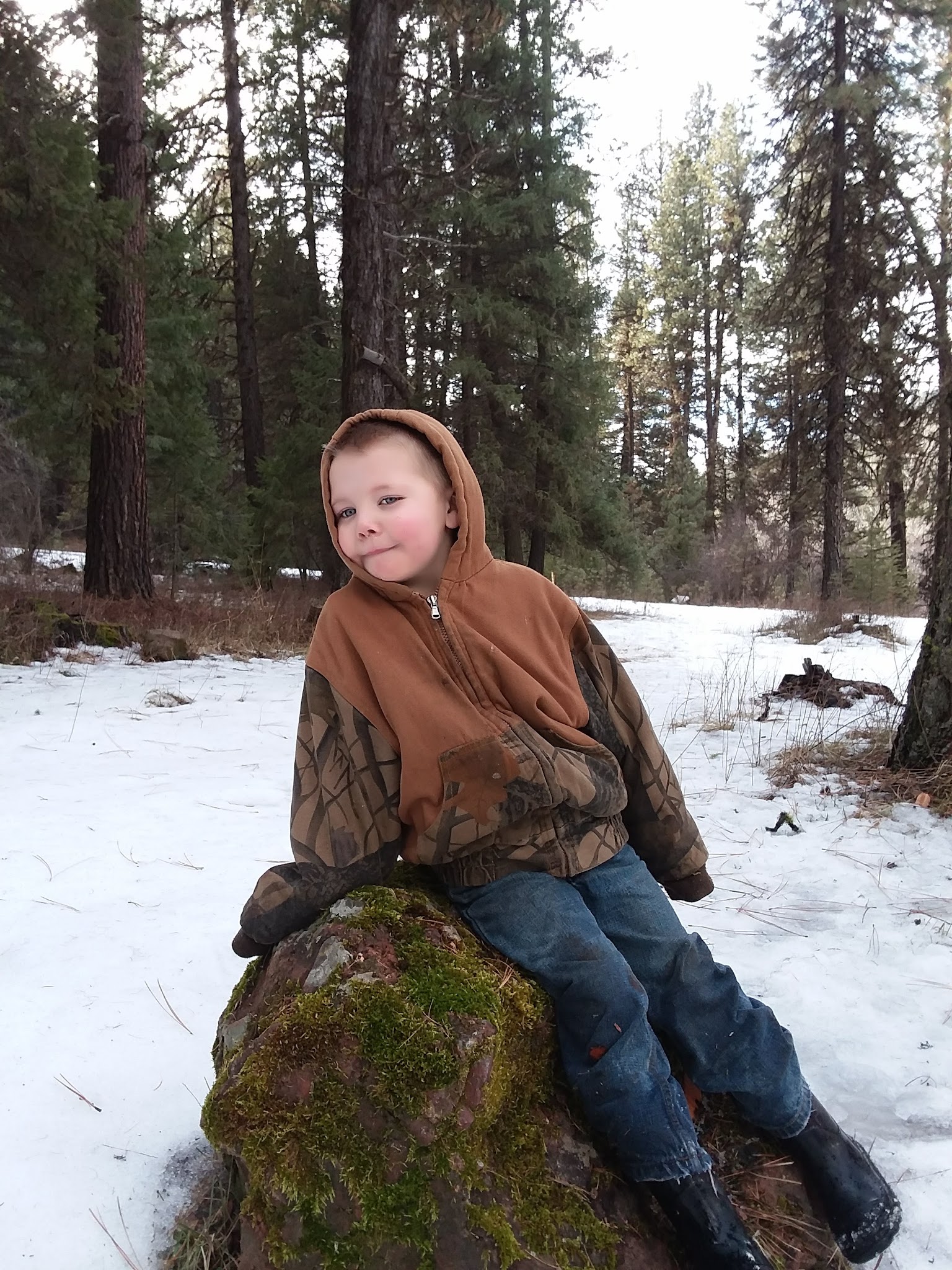 Lower Camp Creek Campground