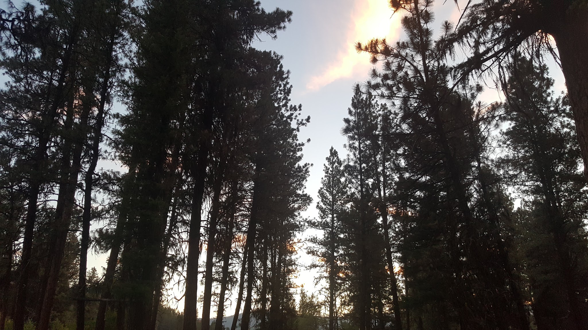 Lower Camp Creek Campground