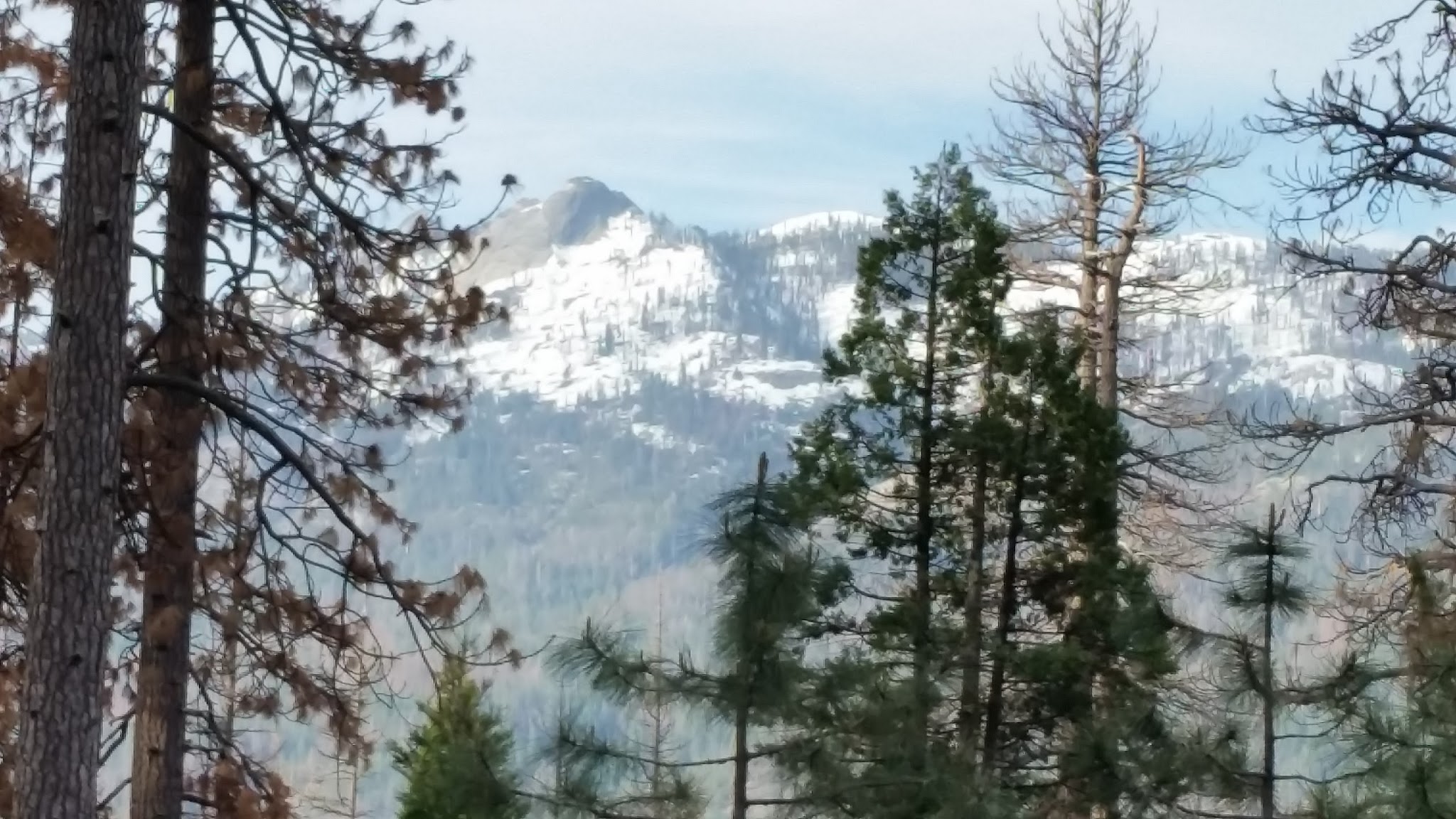 Lower Chiquito Campground