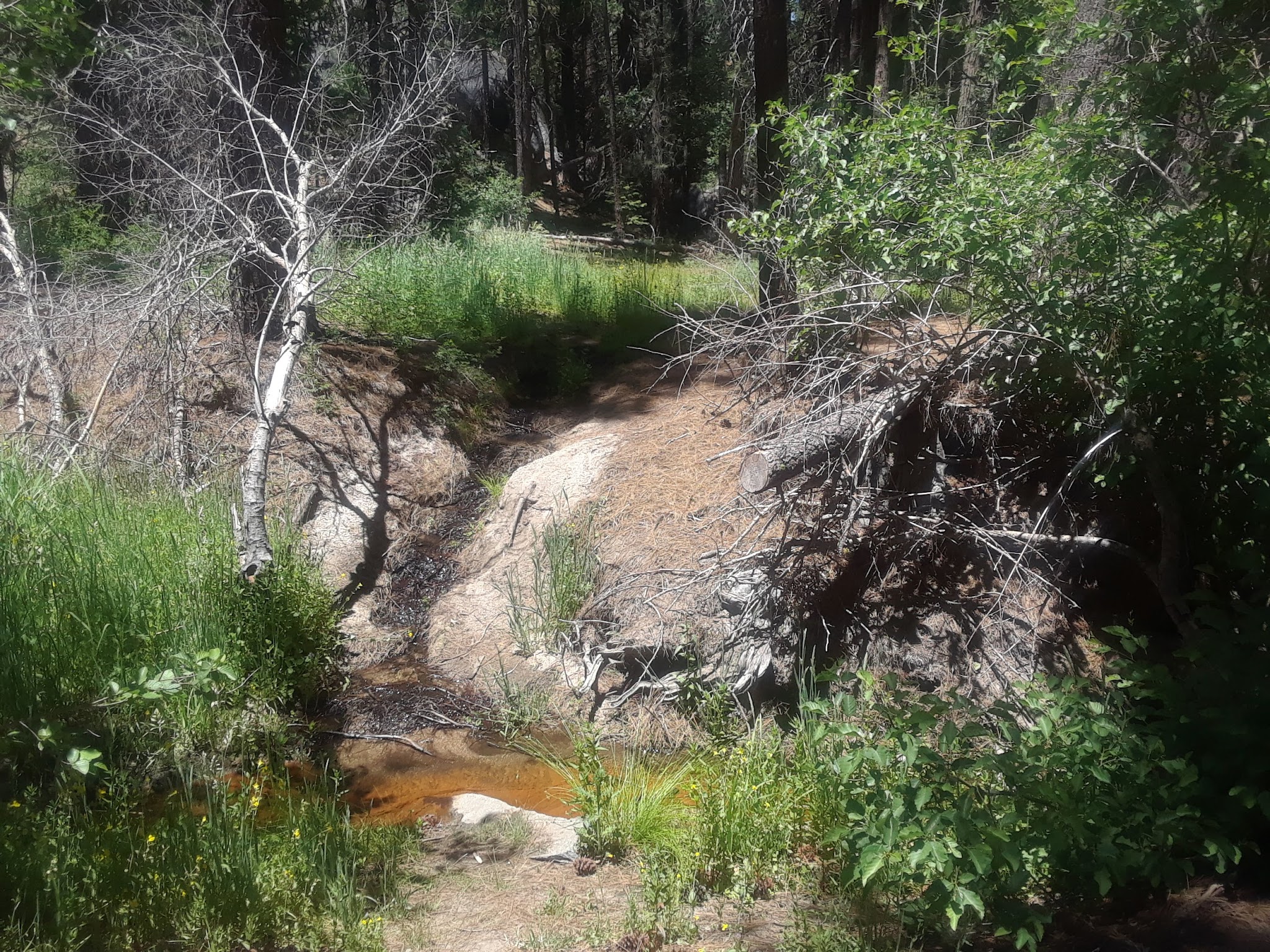 Lower Chiquito Campground