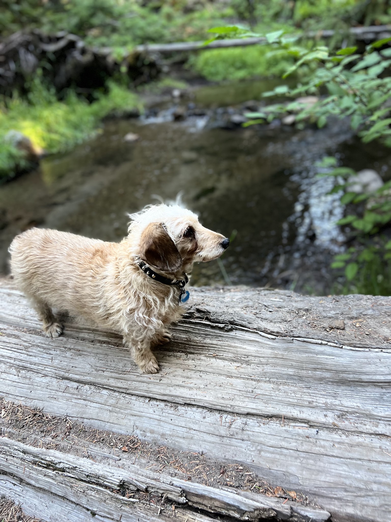 Eightmile Campground/Day Use