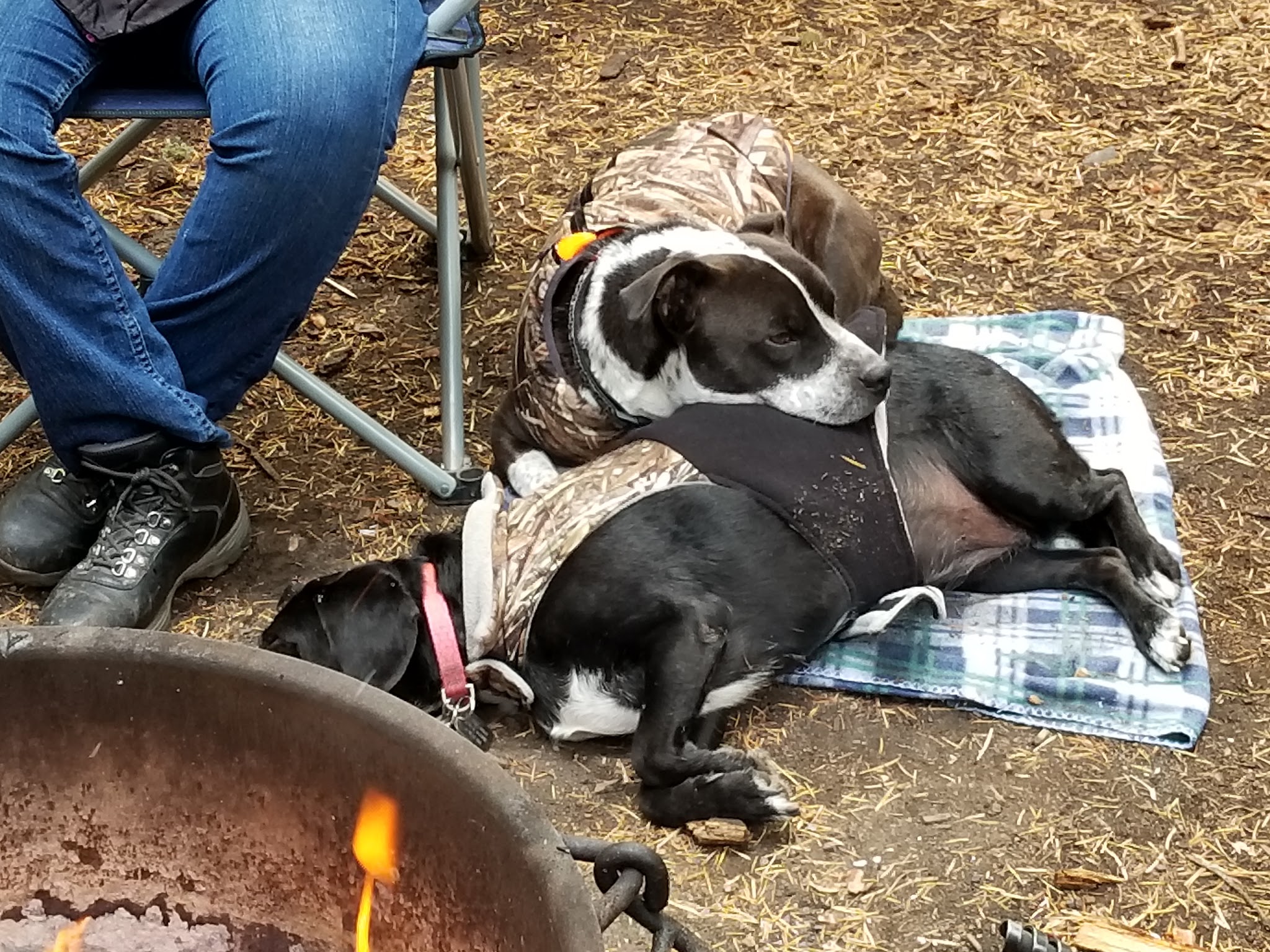 Eightmile Campground/Day Use