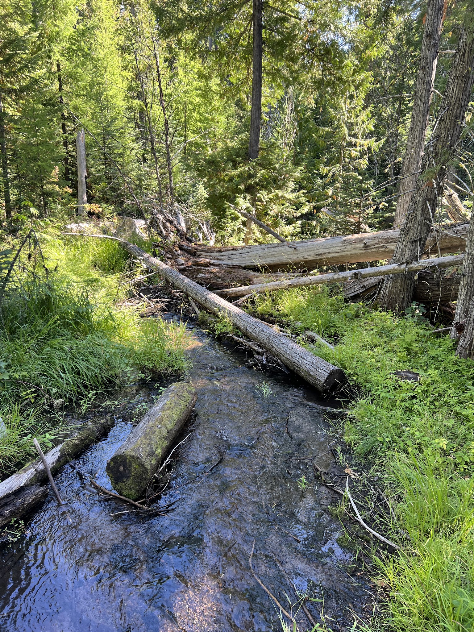 Eightmile Campground/Day Use