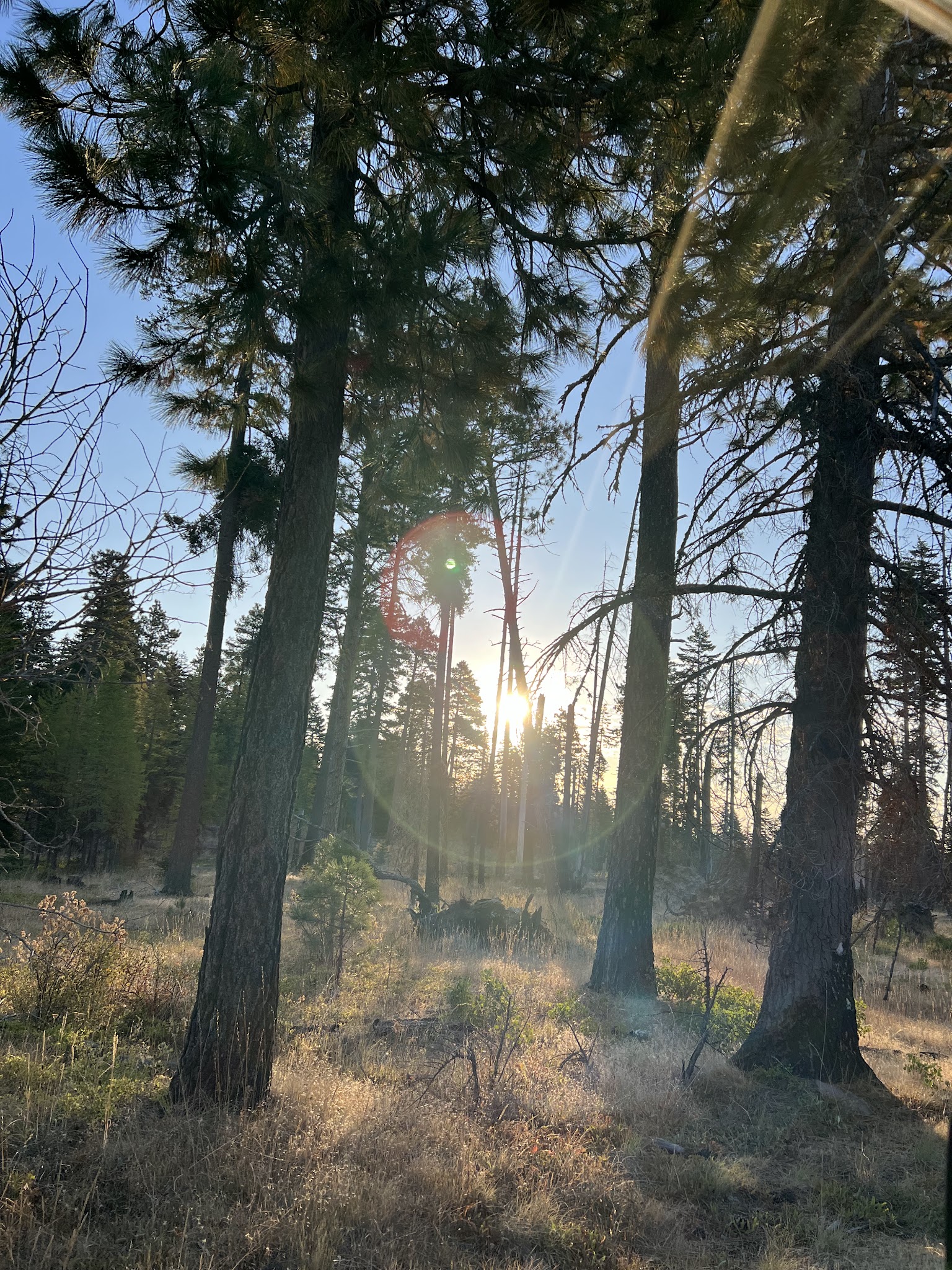 Eightmile Campground/Day Use