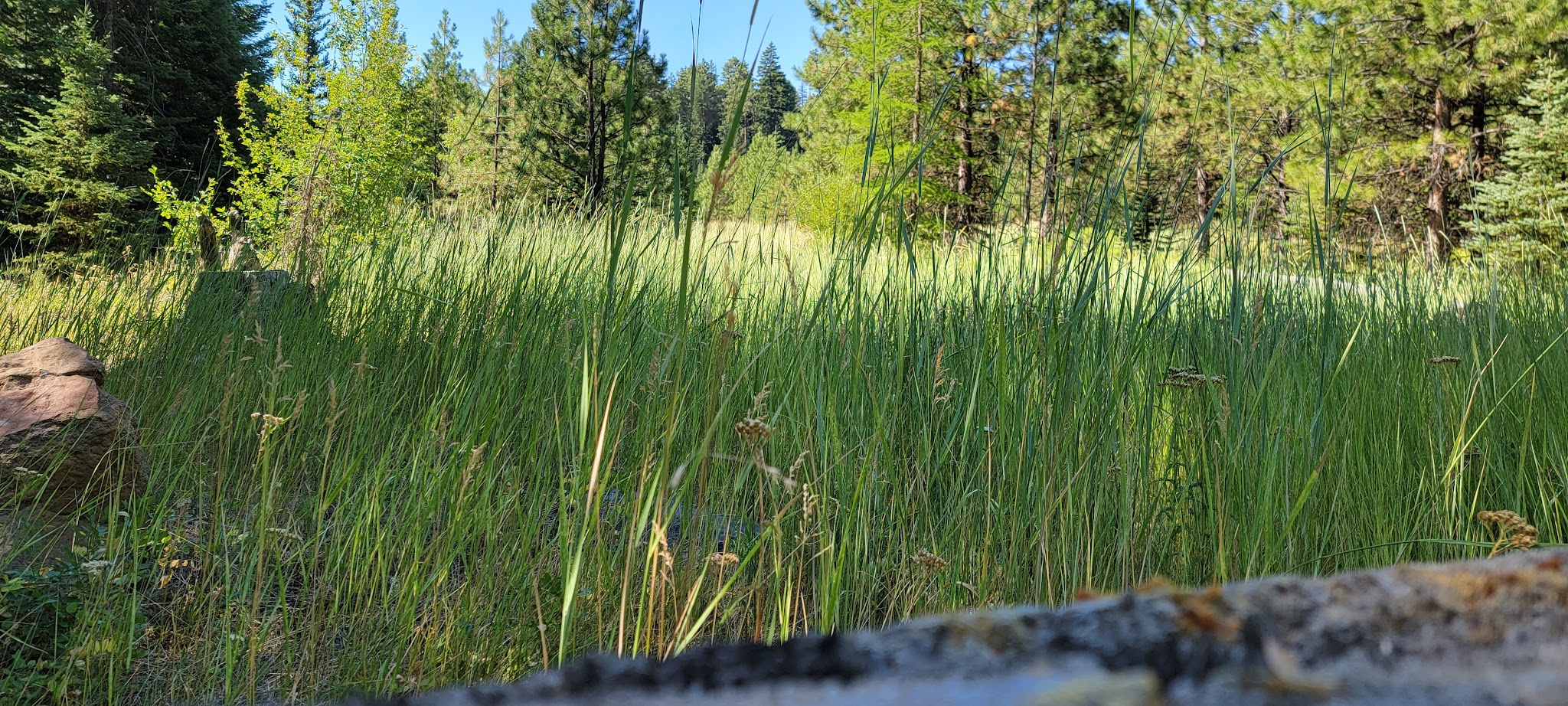 Eightmile Campground/Day Use