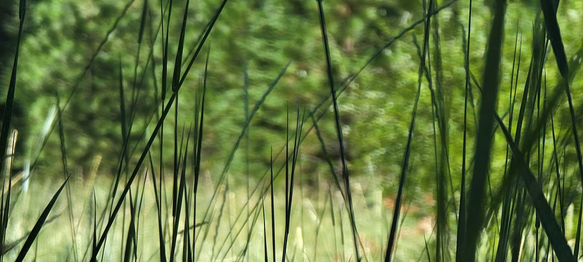 Eightmile Campground/Day Use