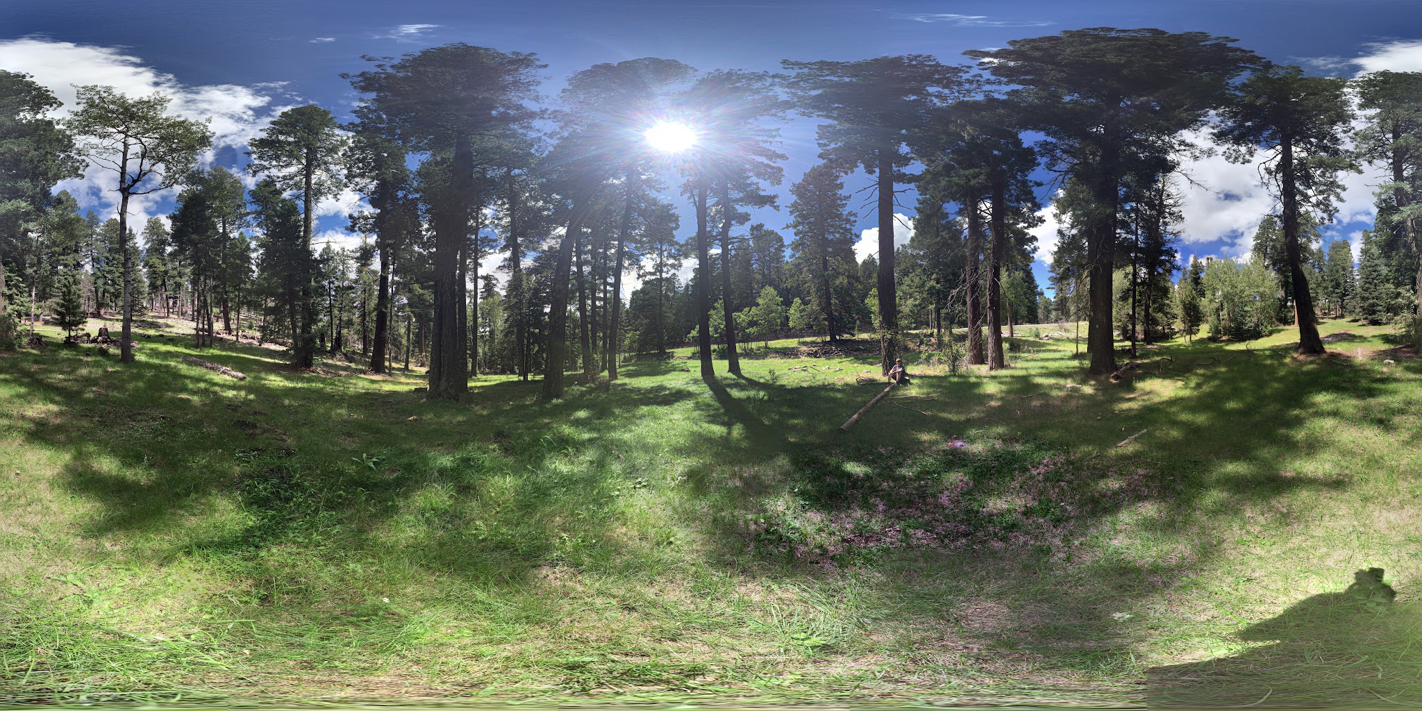 Lower Fir Group Campground