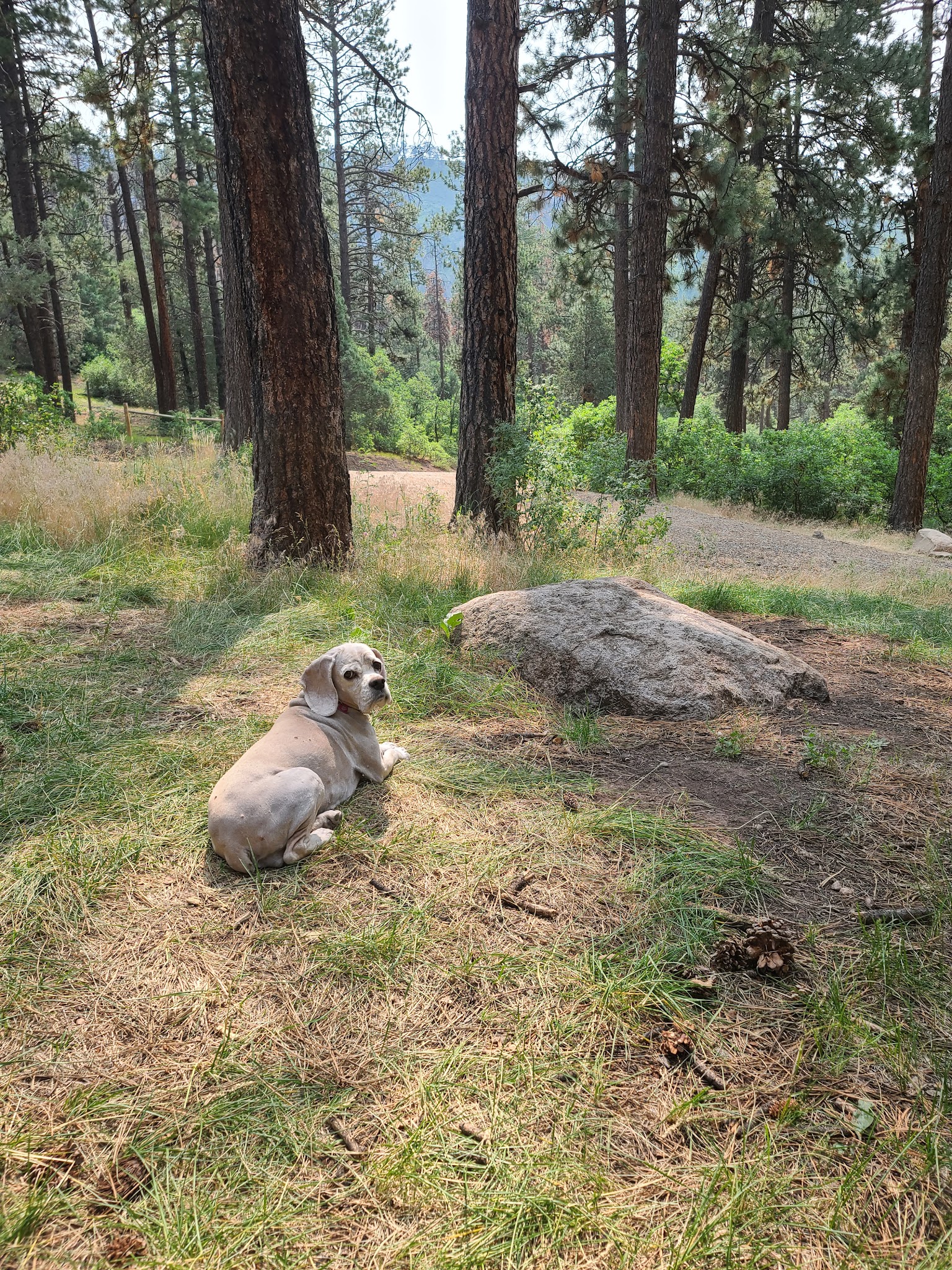 Lower Hermosa Campground