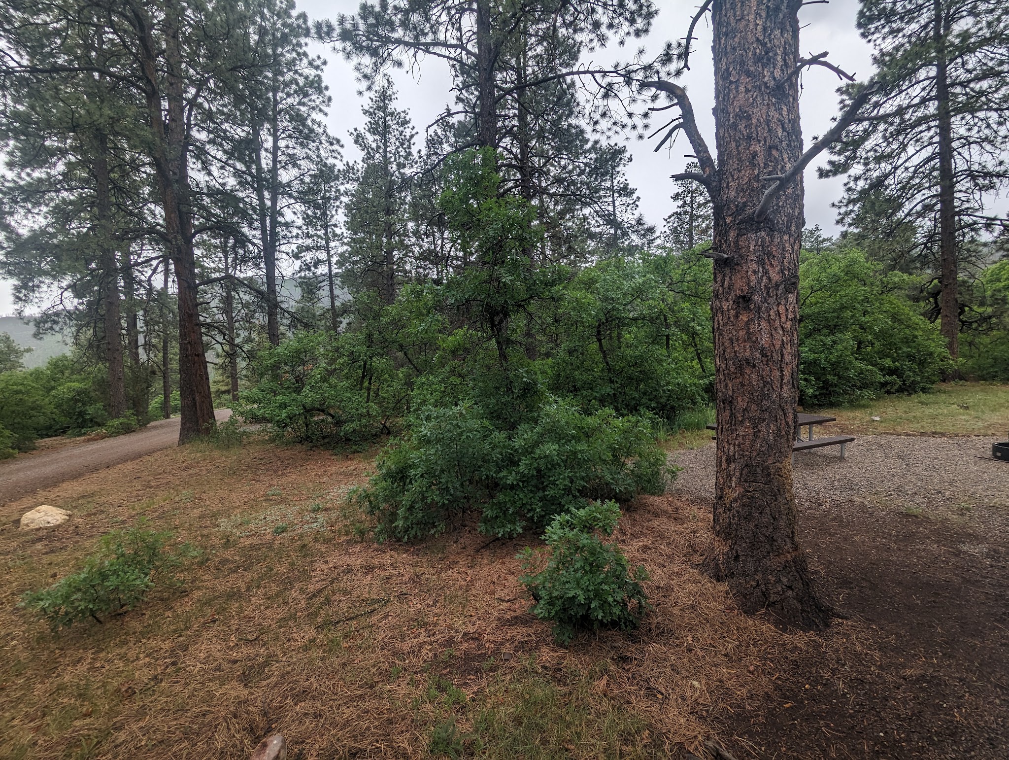 Lower Hermosa Campground