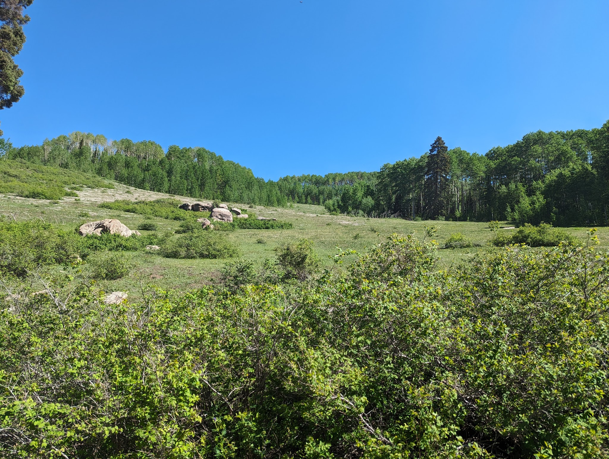 Lower Hermosa Campground