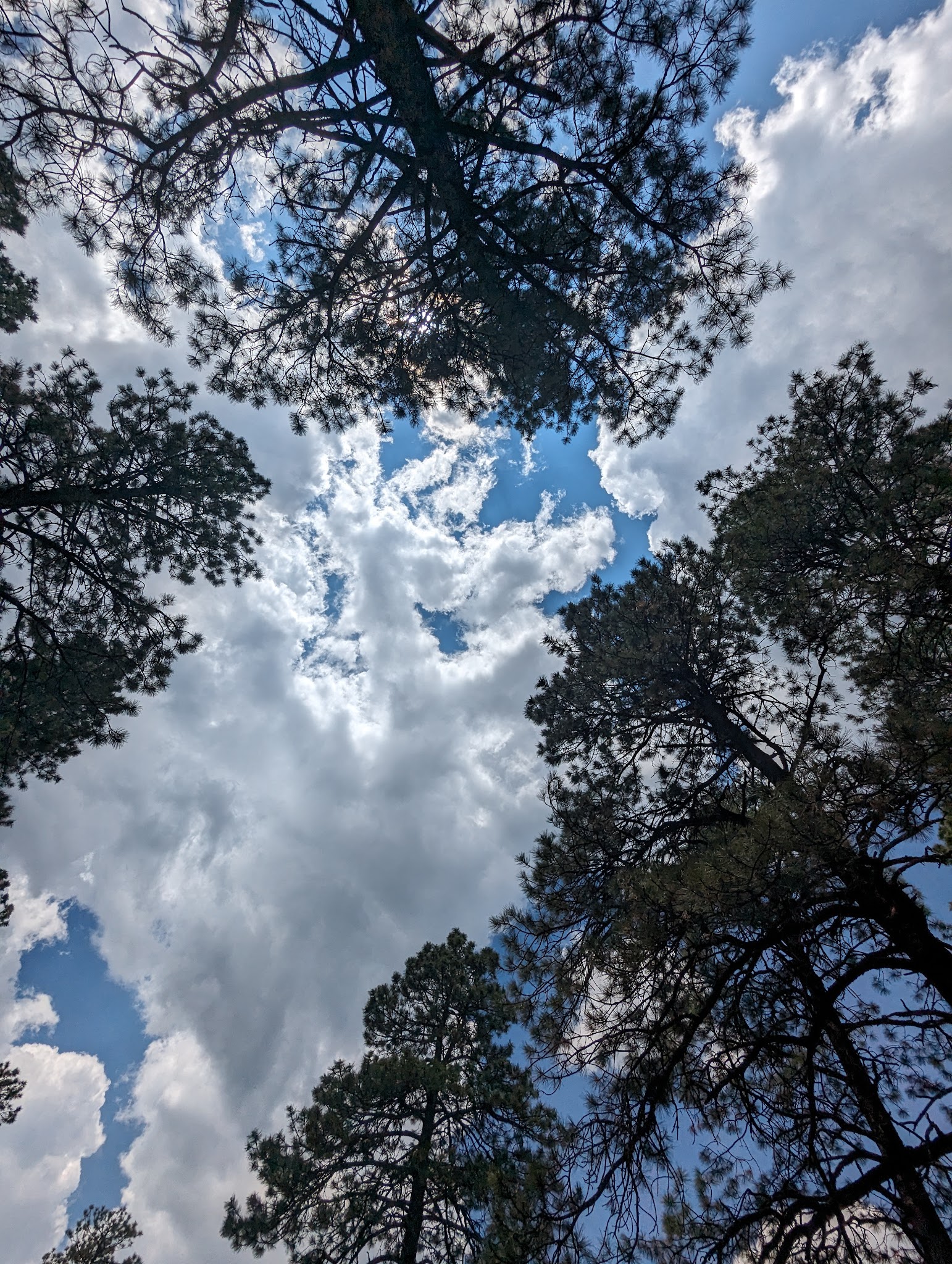 Lower Hermosa Campground