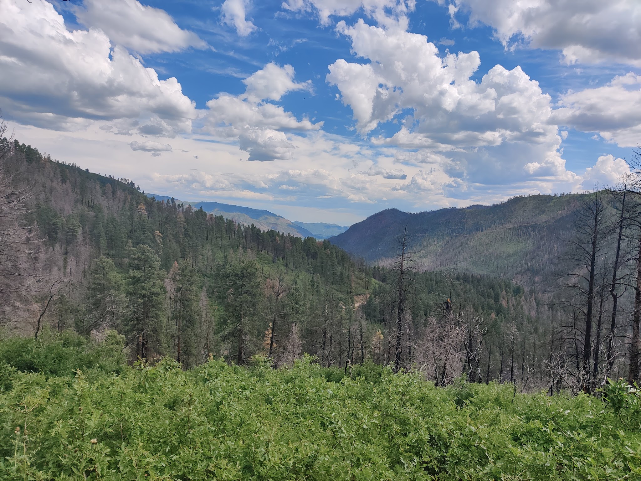 Lower Hermosa Campground