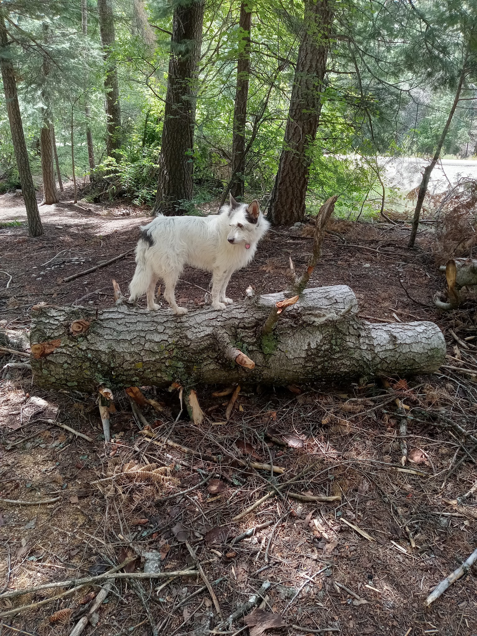 Lower Hondo Campground