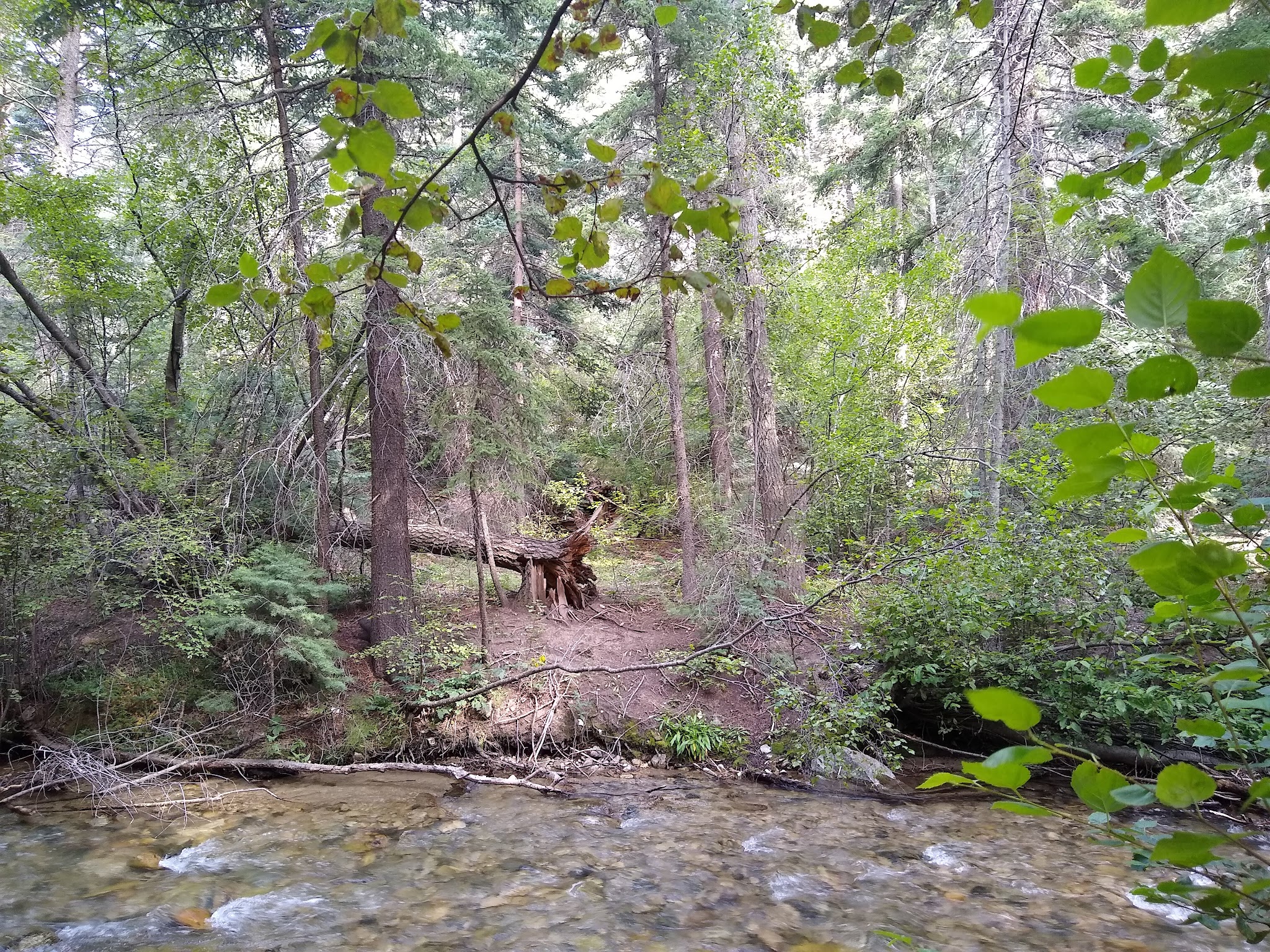 Lower Hondo Campground
