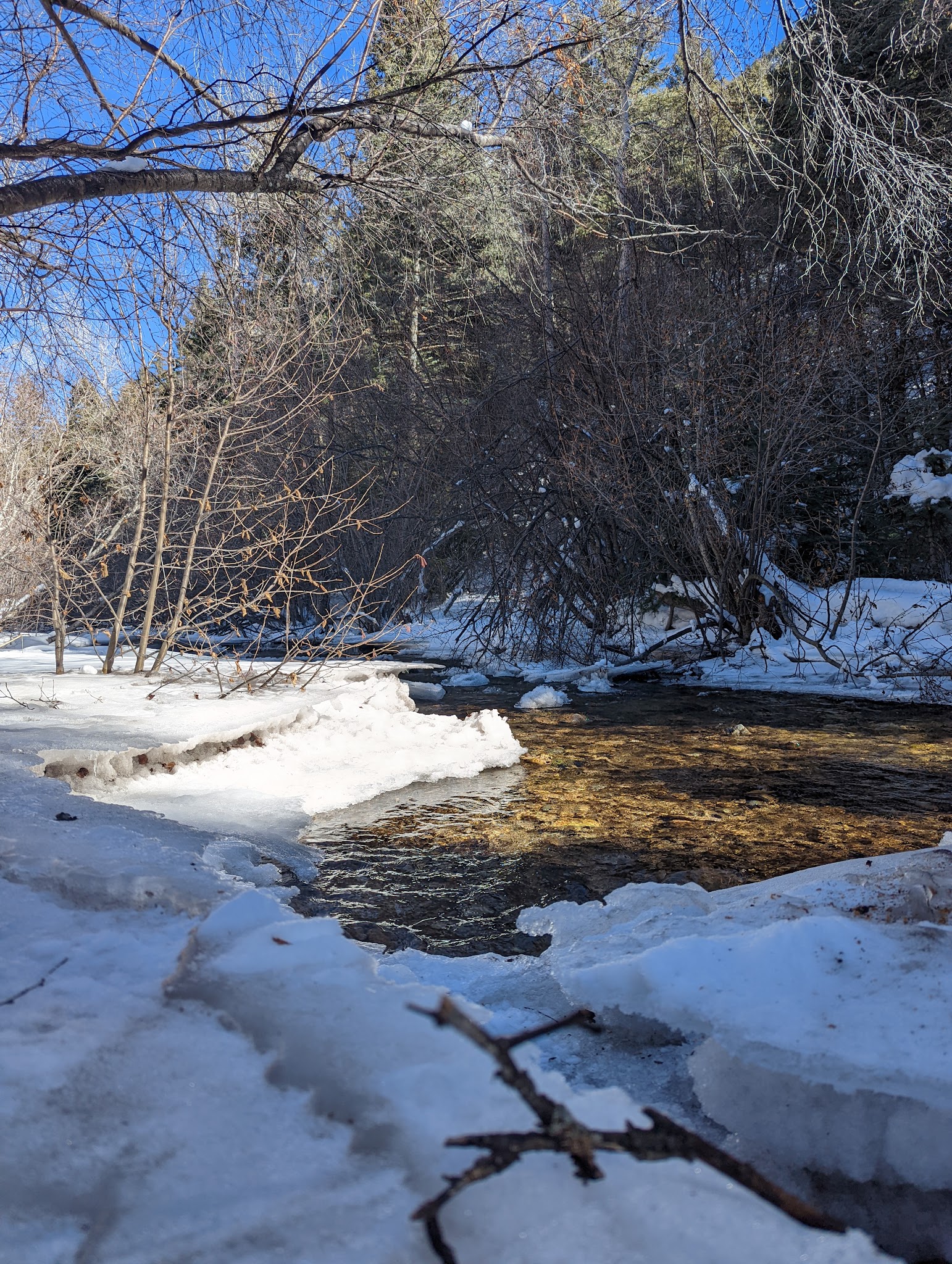 Lower Hondo Campground