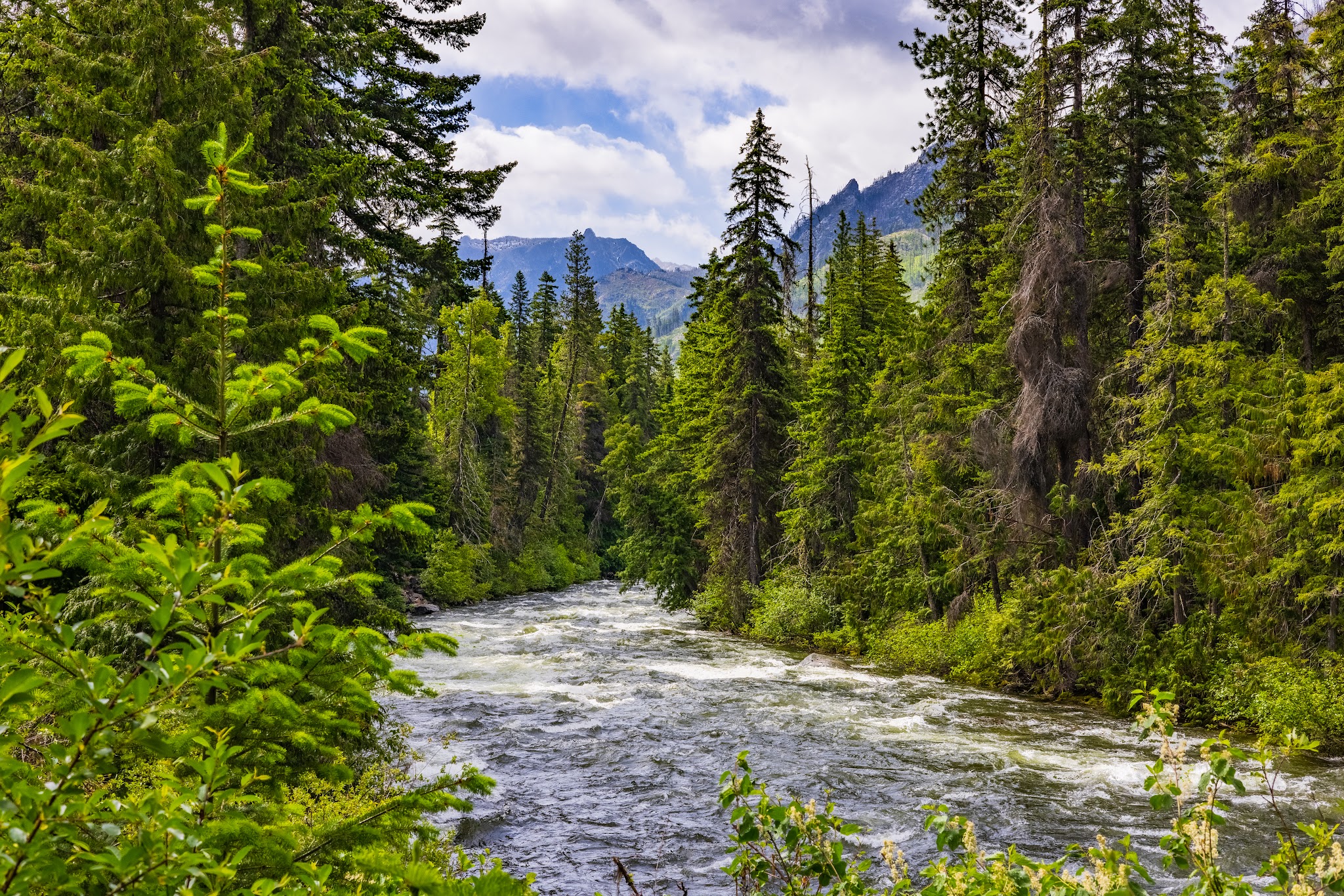 Johnny Creek Campground