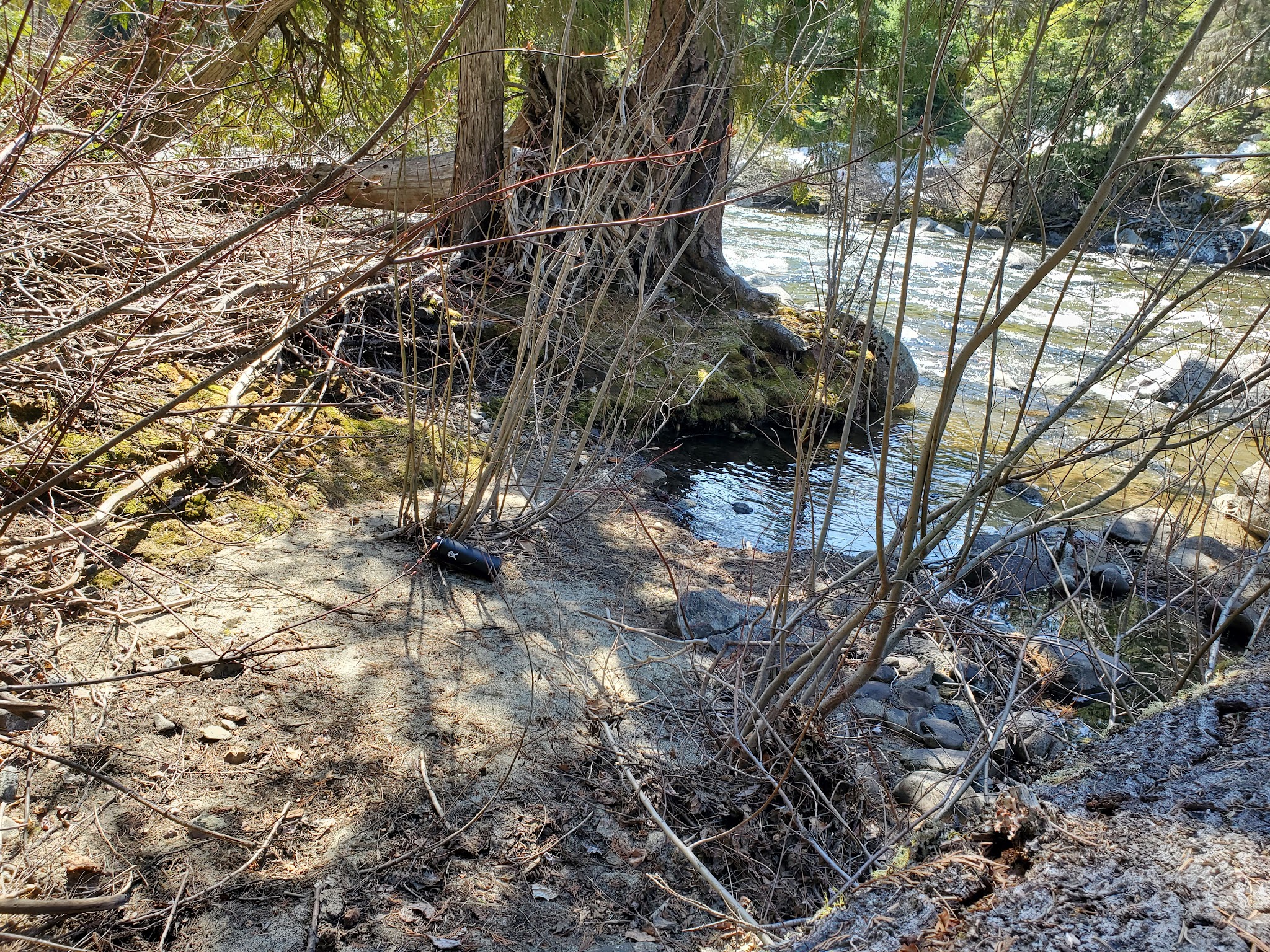Johnny Creek Campground