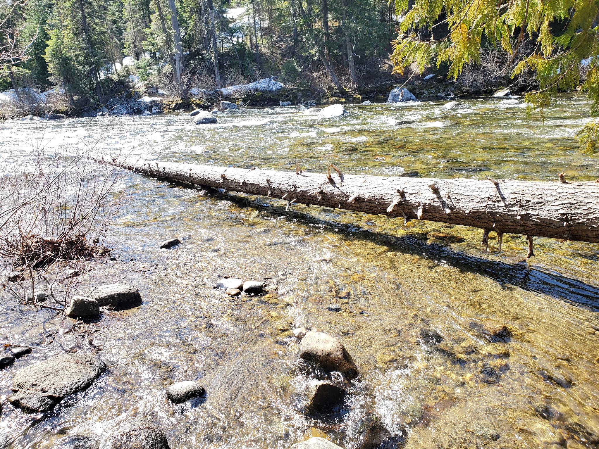 Johnny Creek Campground