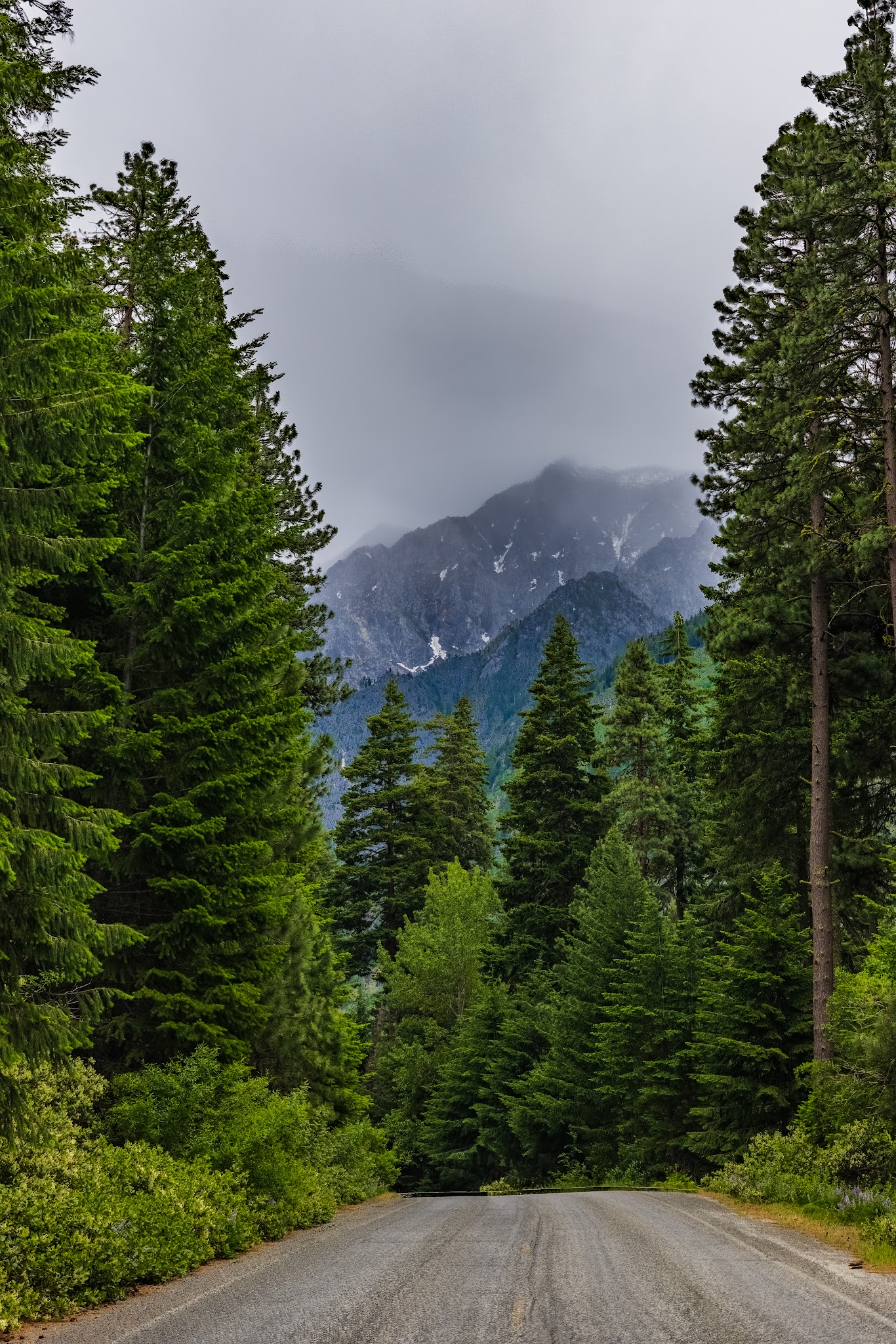 Johnny Creek Campground