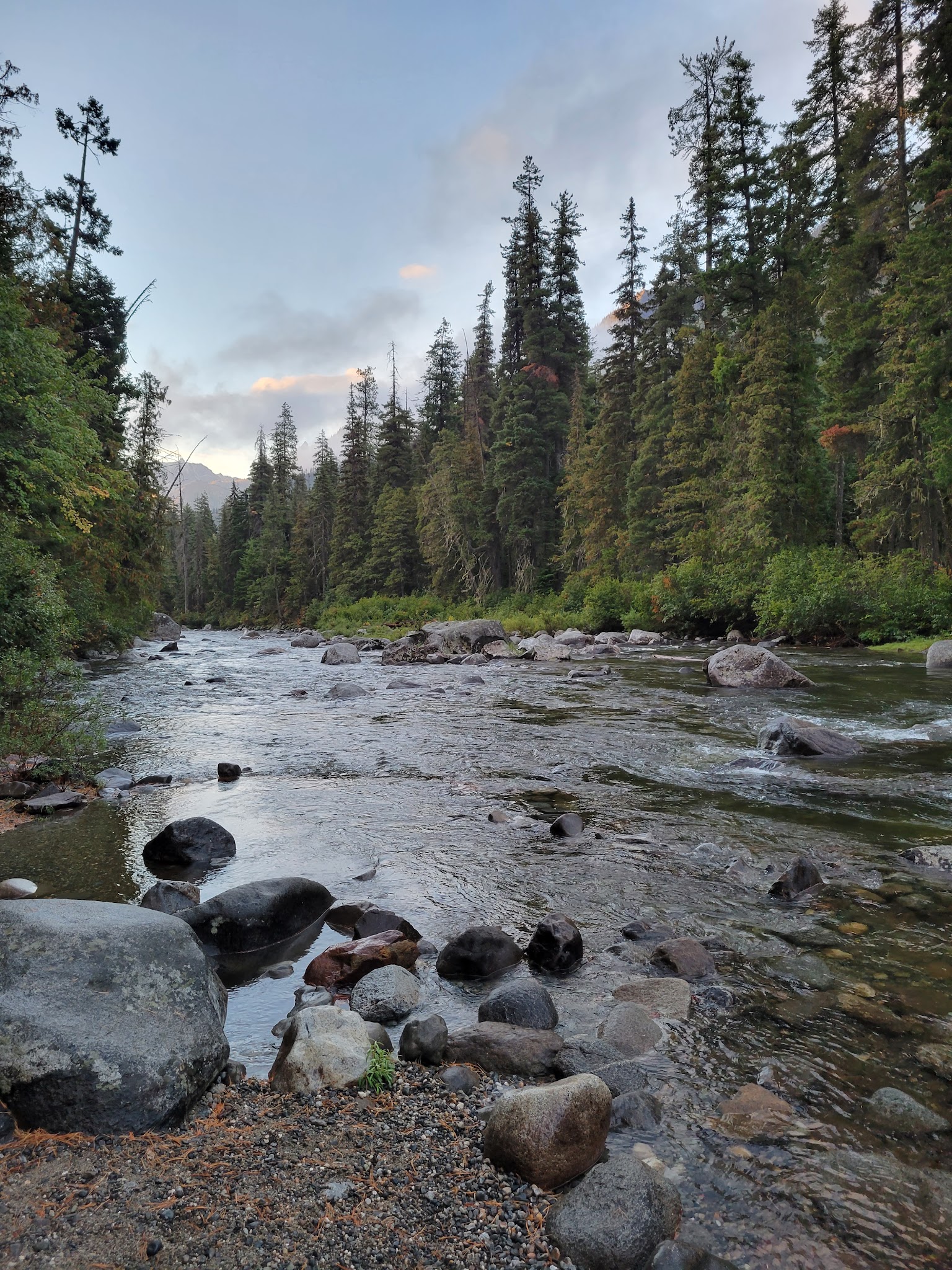 Johnny Creek Campground