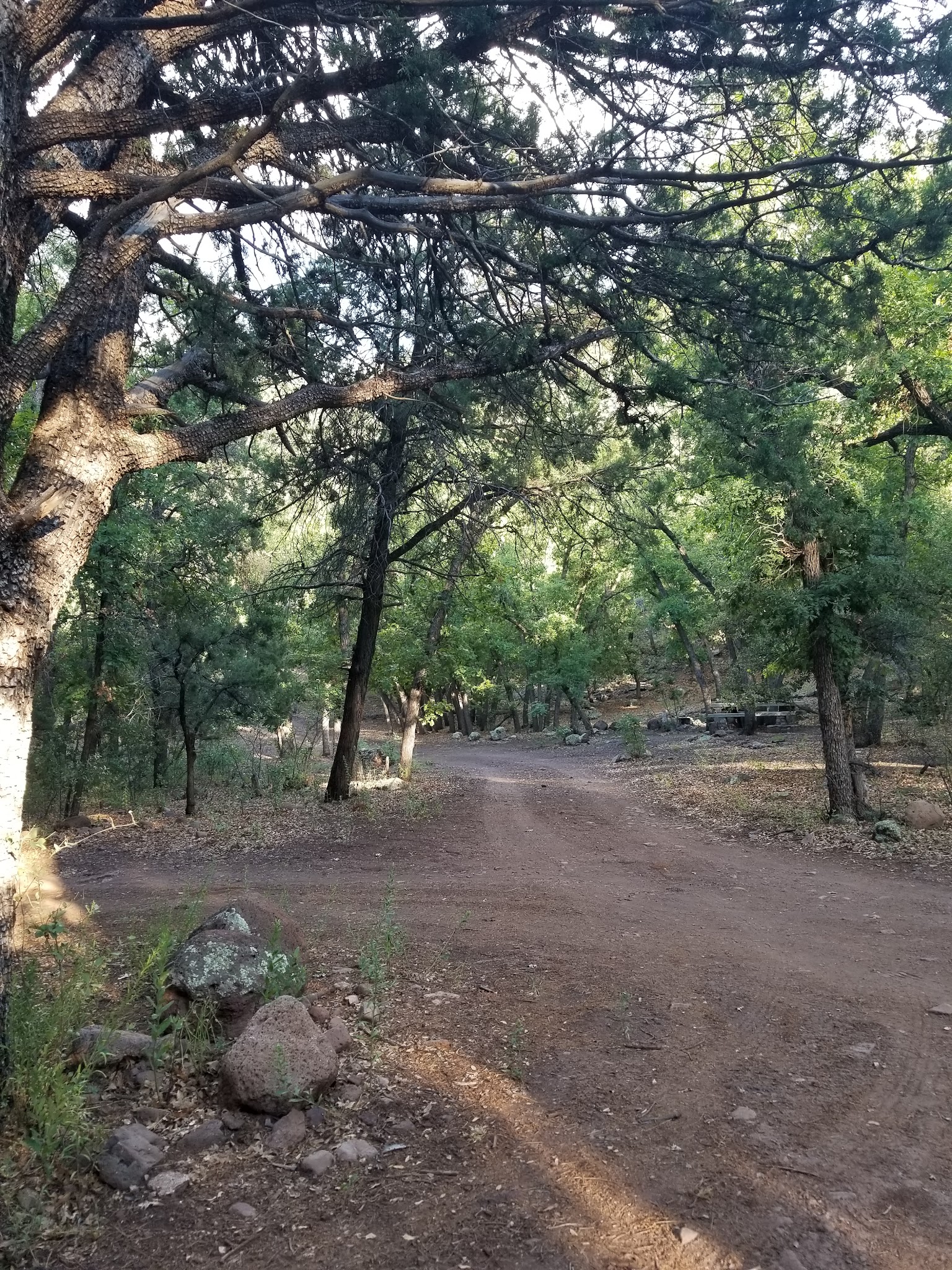 Lower Juan Miller Campground