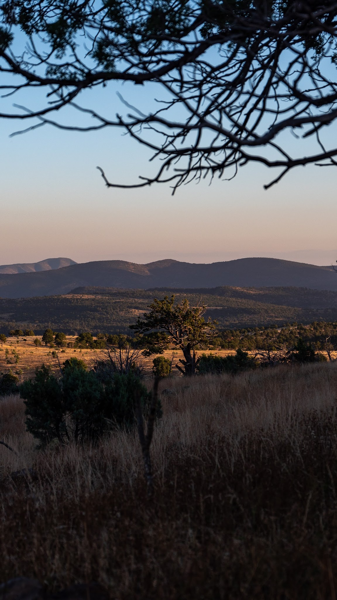 Lower Juan Miller Campground