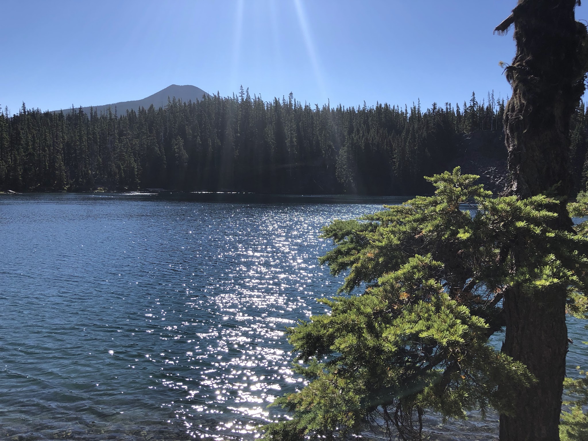 Lower Lake (Olallie Lake) Campground