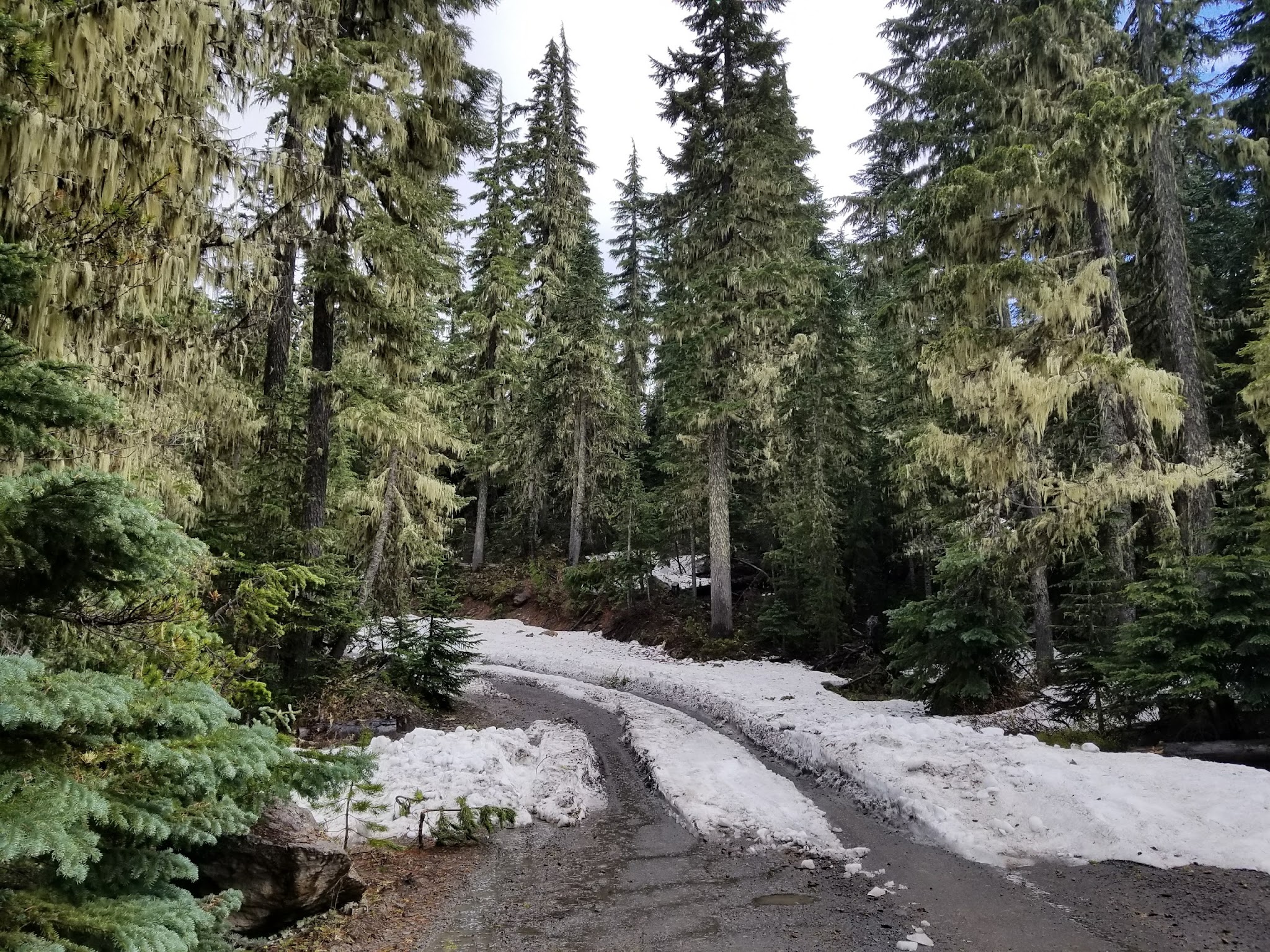 Lower Lake (Olallie Lake) Campground