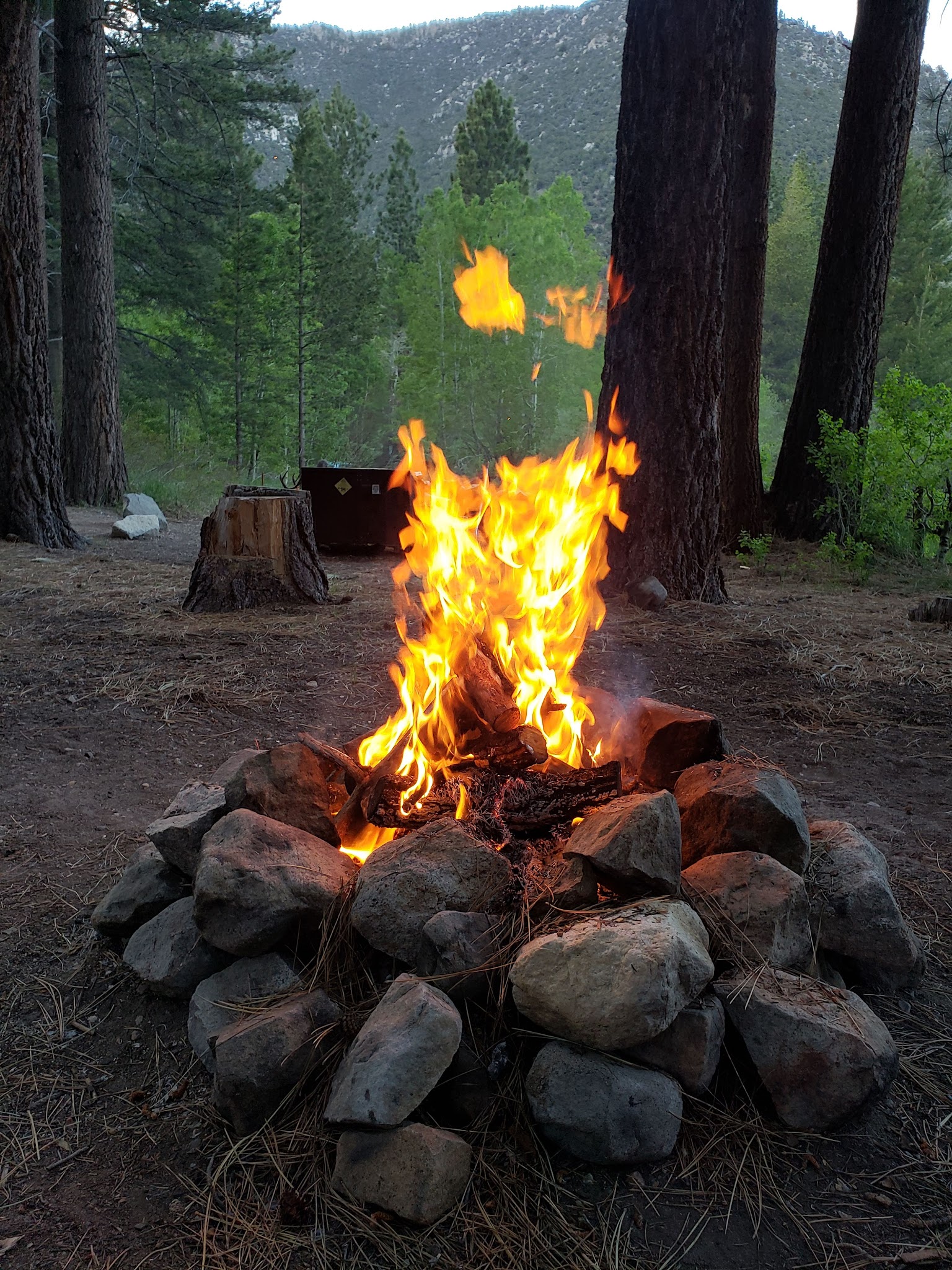 Lower Lee Vining Campground