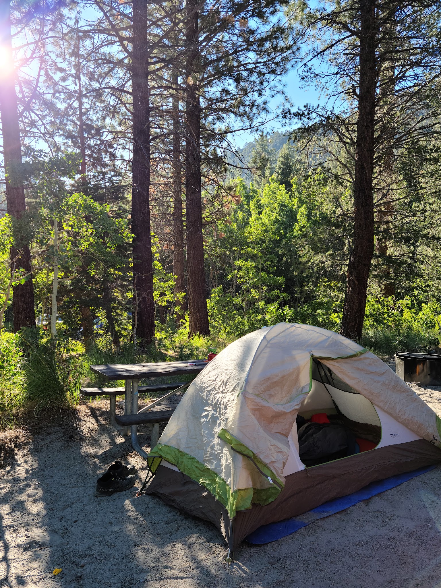 Lower Lee Vining Campground