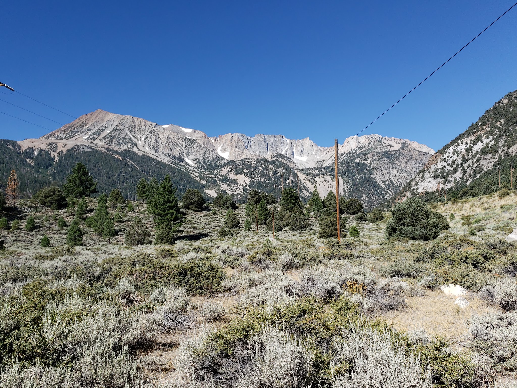 Lower Lee Vining Campground