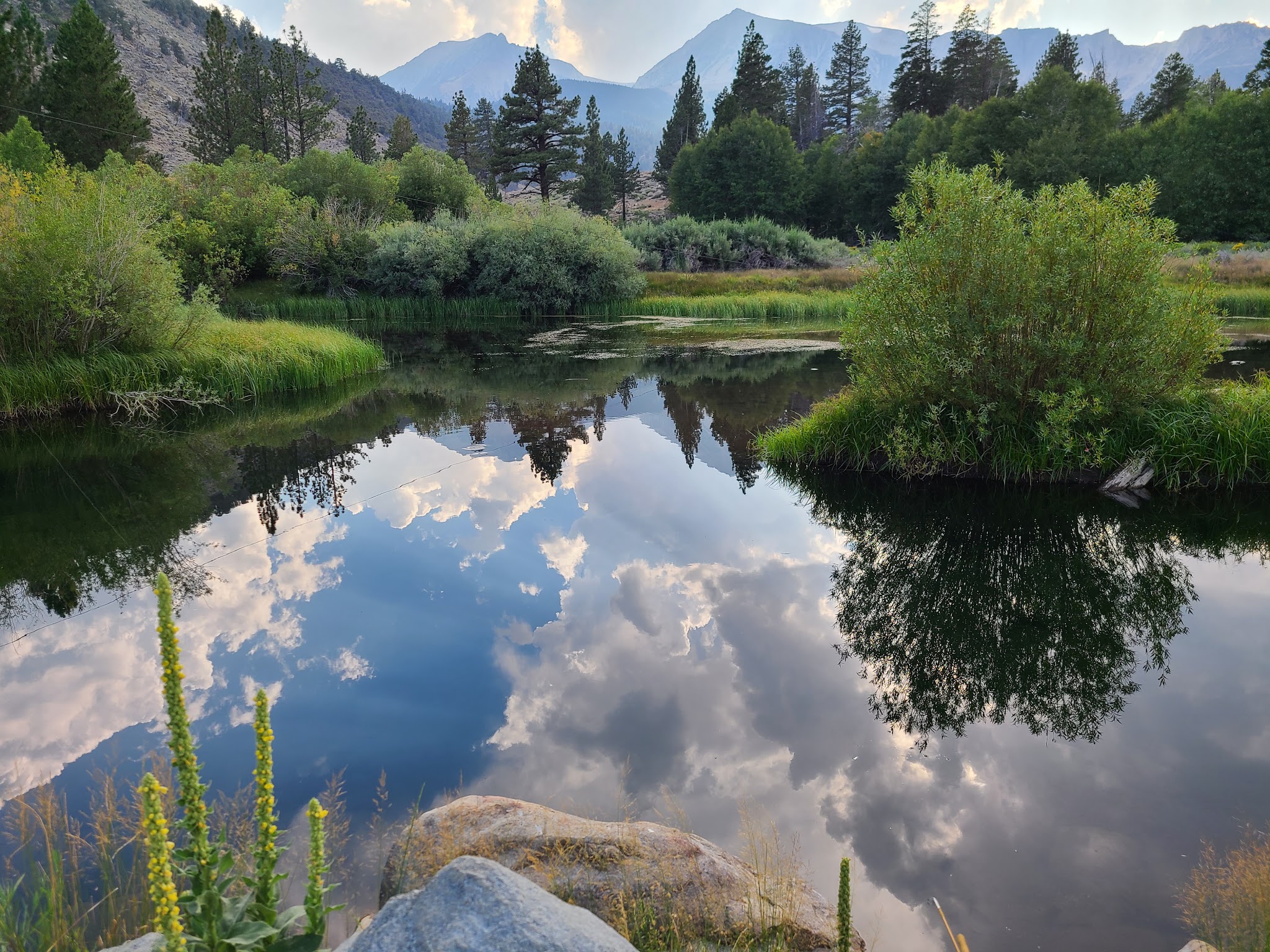 Lower Lee Vining Campground