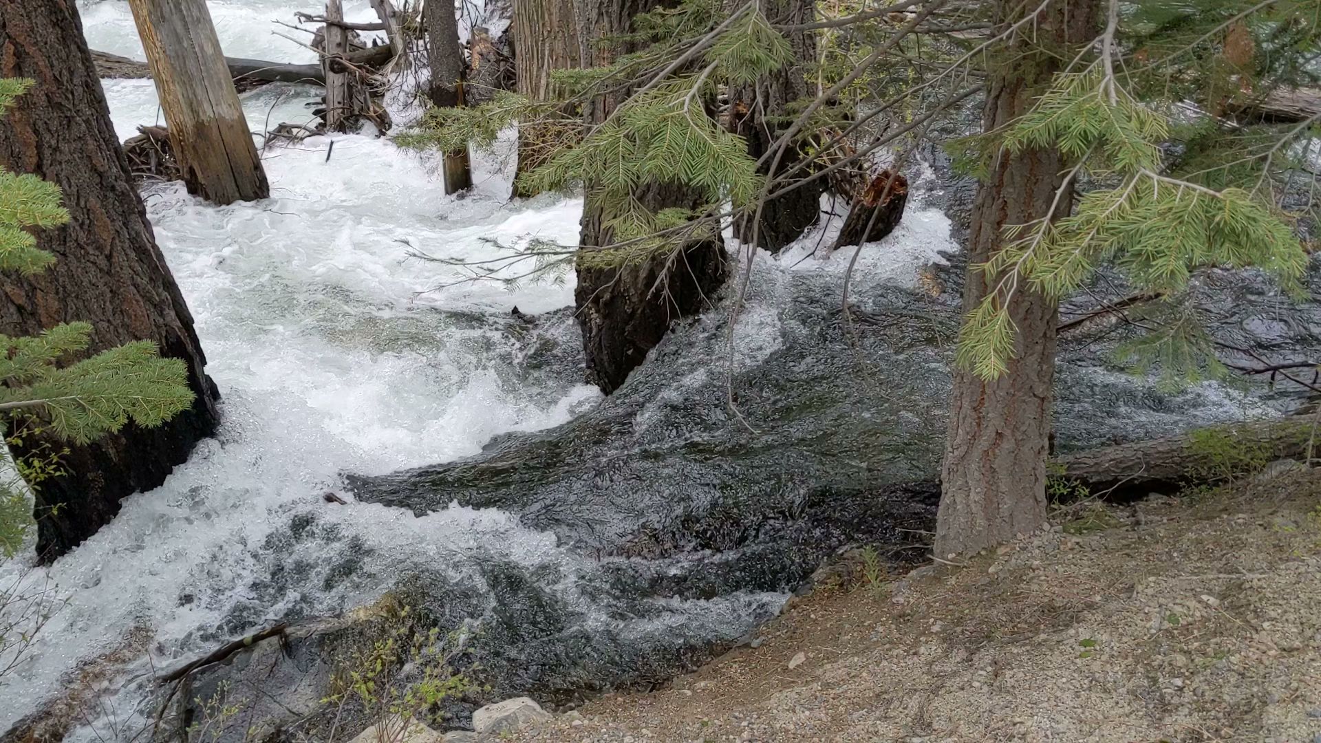 Lower Lee Vining Campground