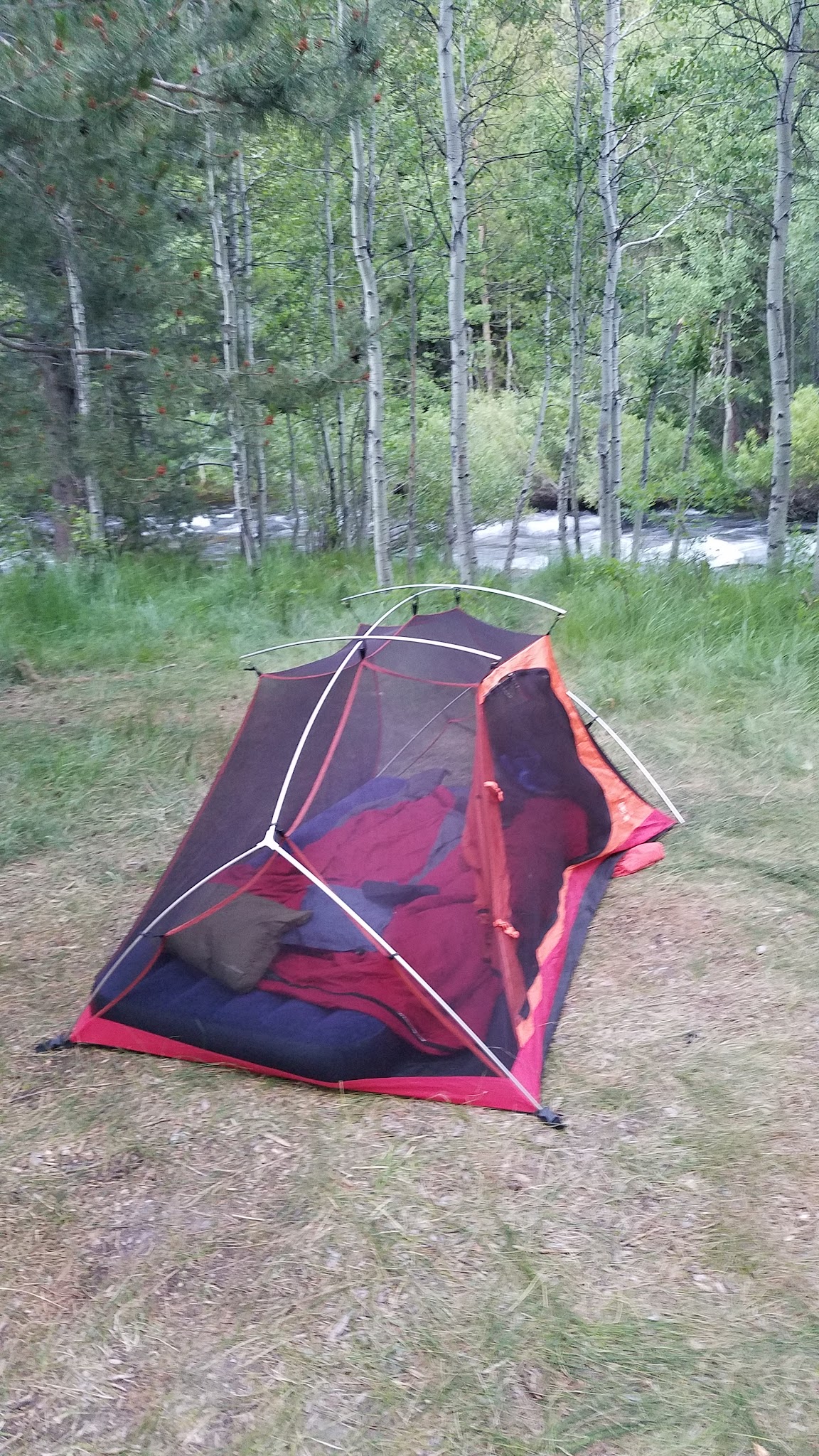 Lower Lee Vining Campground
