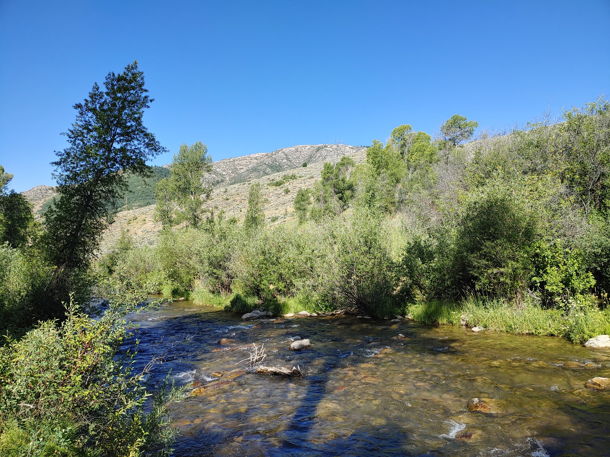 Lower Meadows Campground